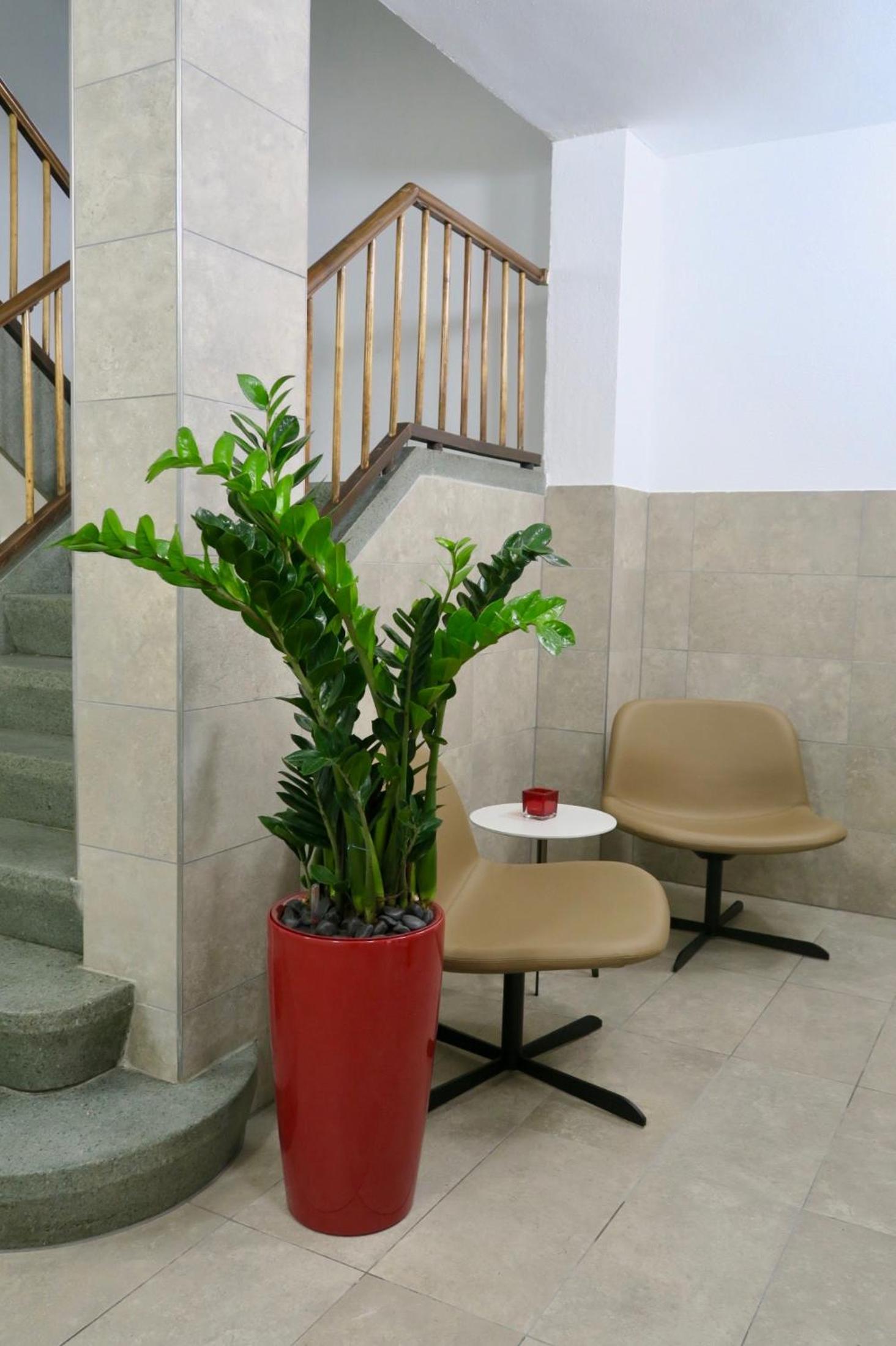 Photo 38