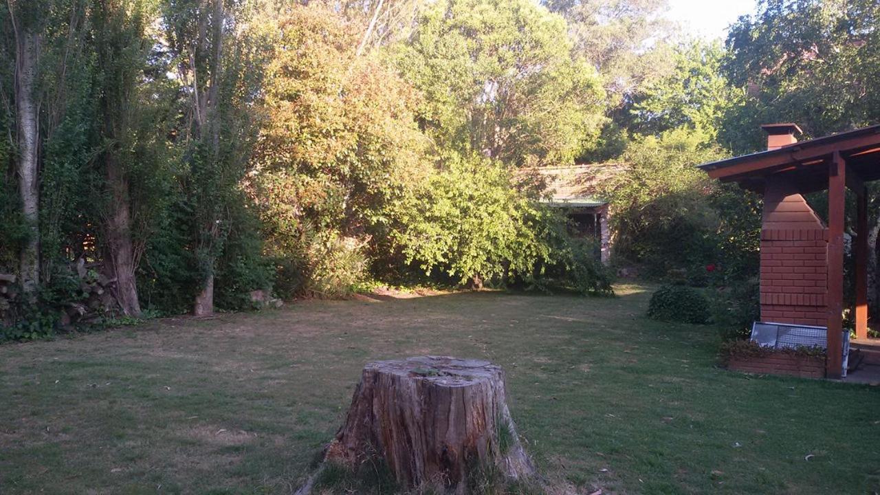 Casa En El Bosque