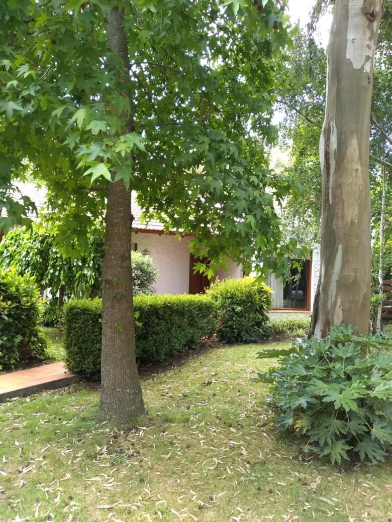 Casa En El Bosque