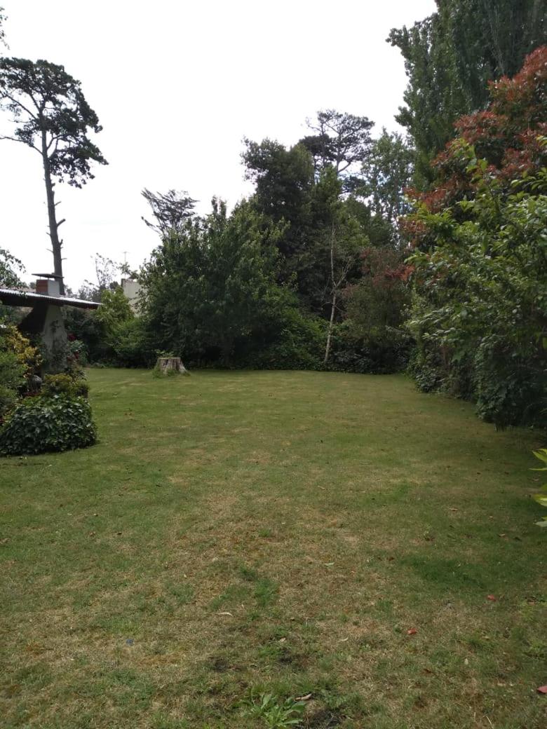 Casa En El Bosque
