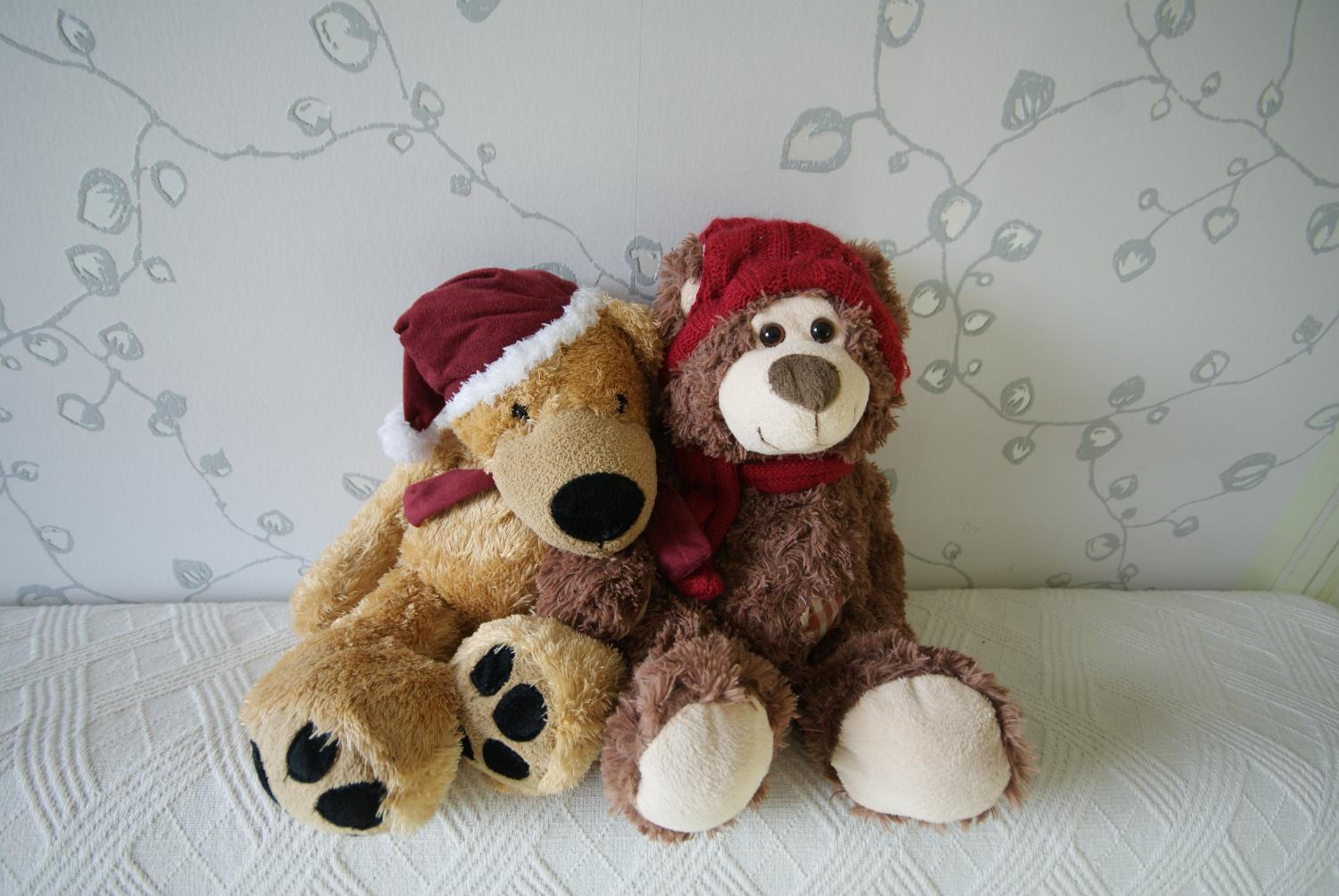 Photo 22