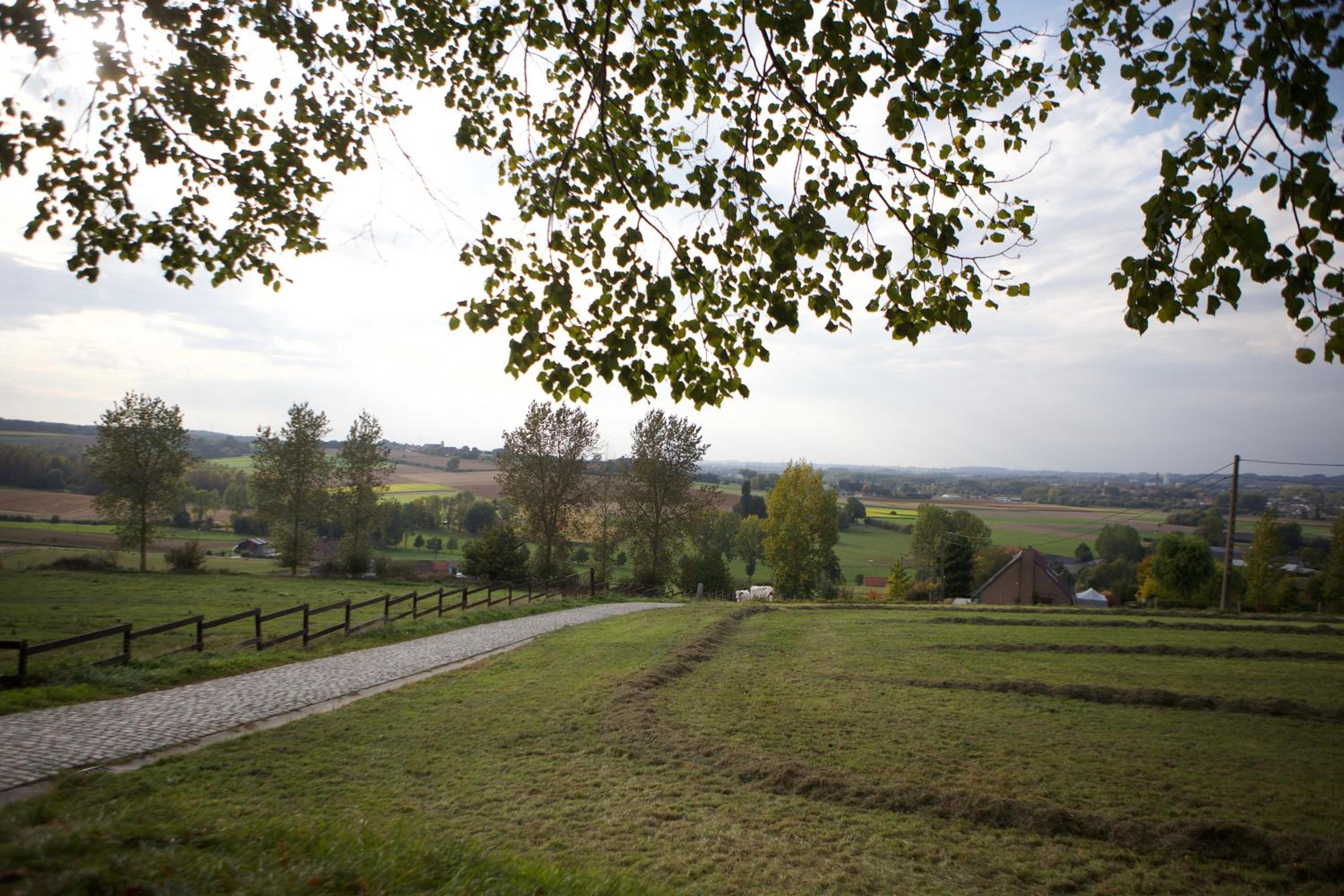 B&B Maison Kerkhove view 2