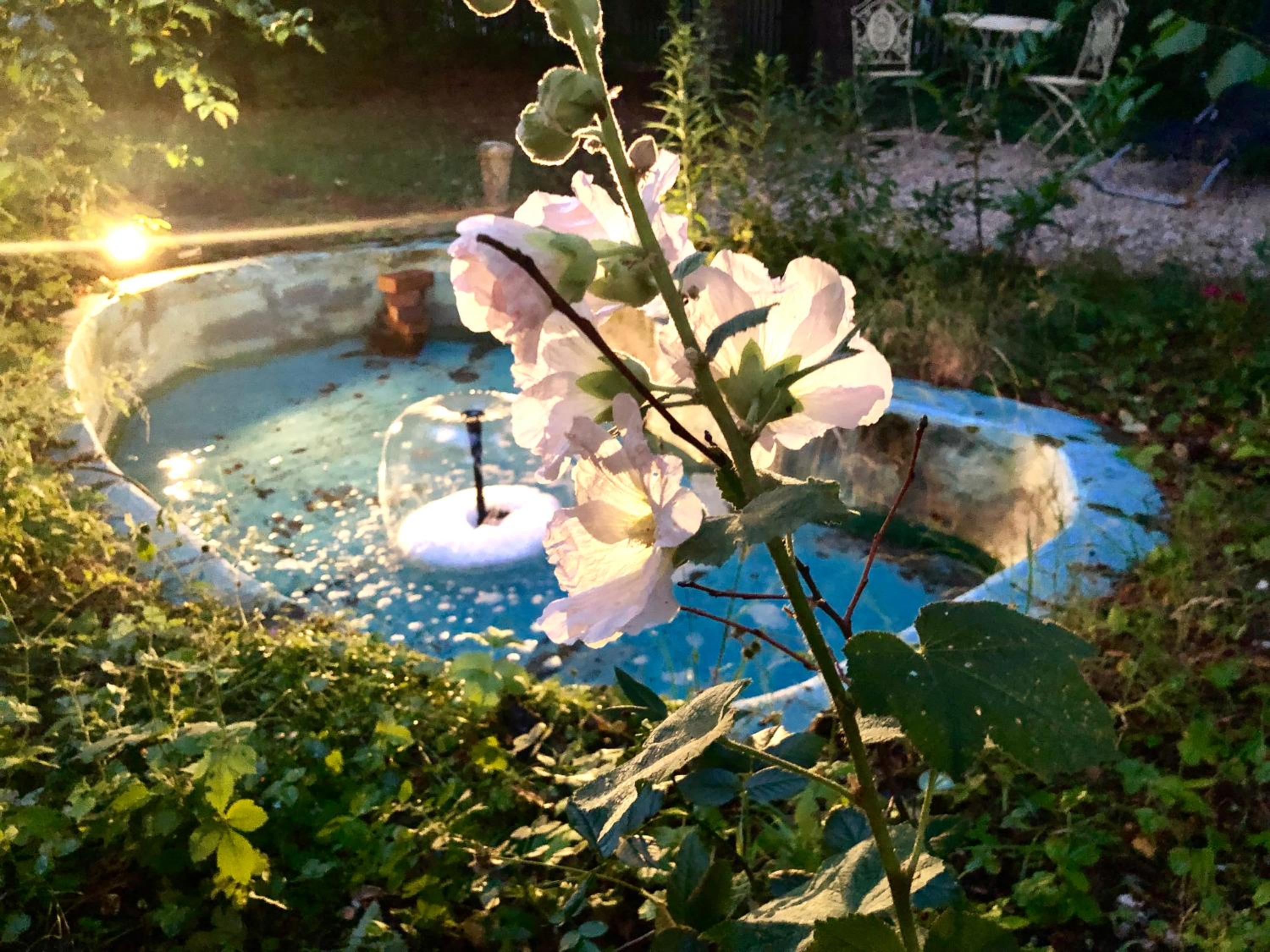 Photo 44
