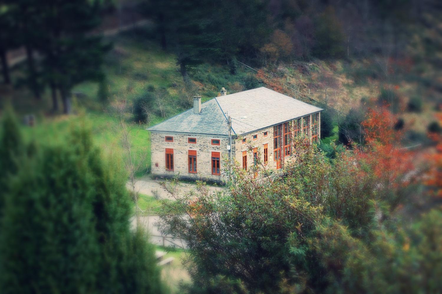 Photo 45
