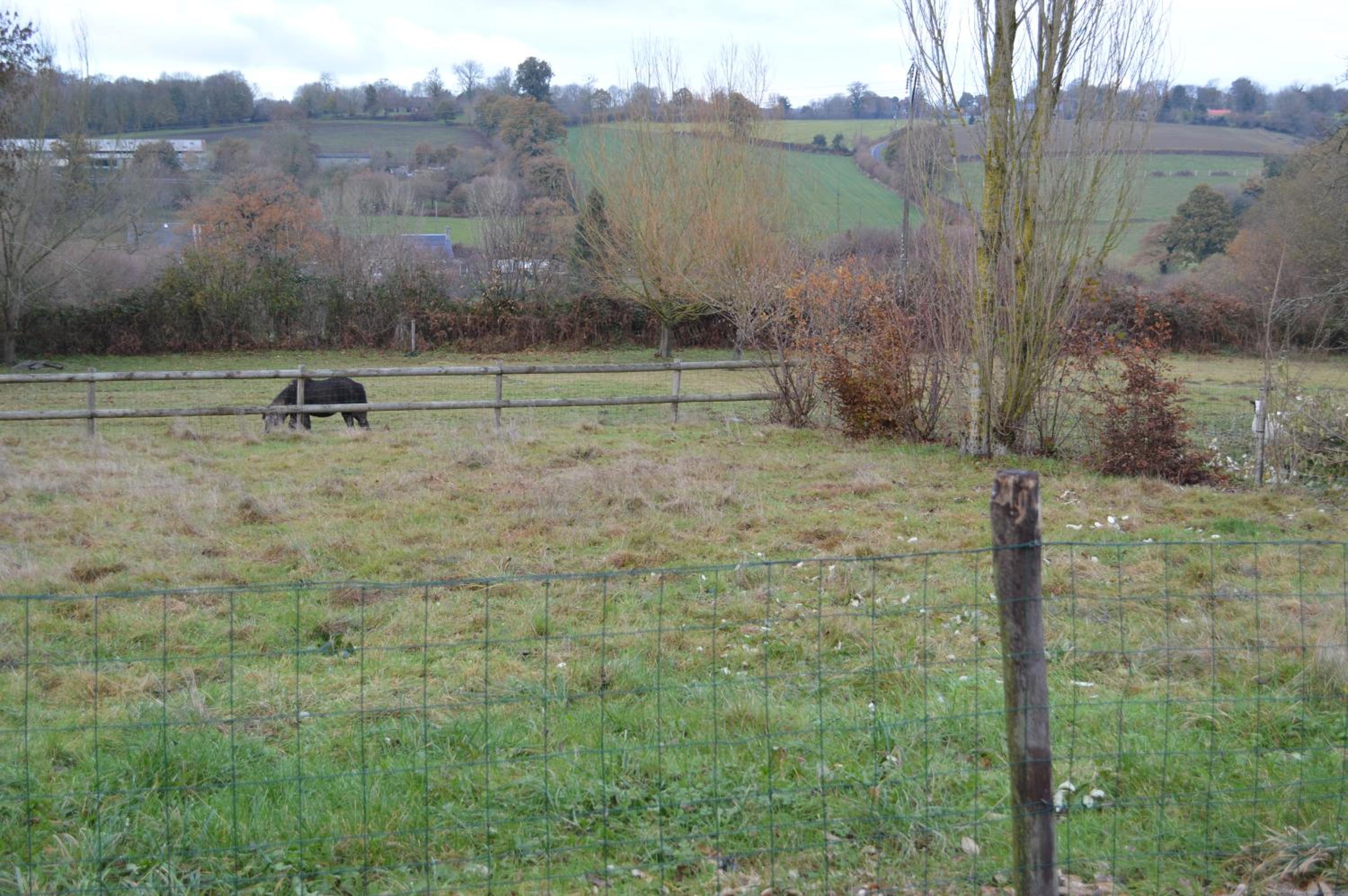 Photo 45