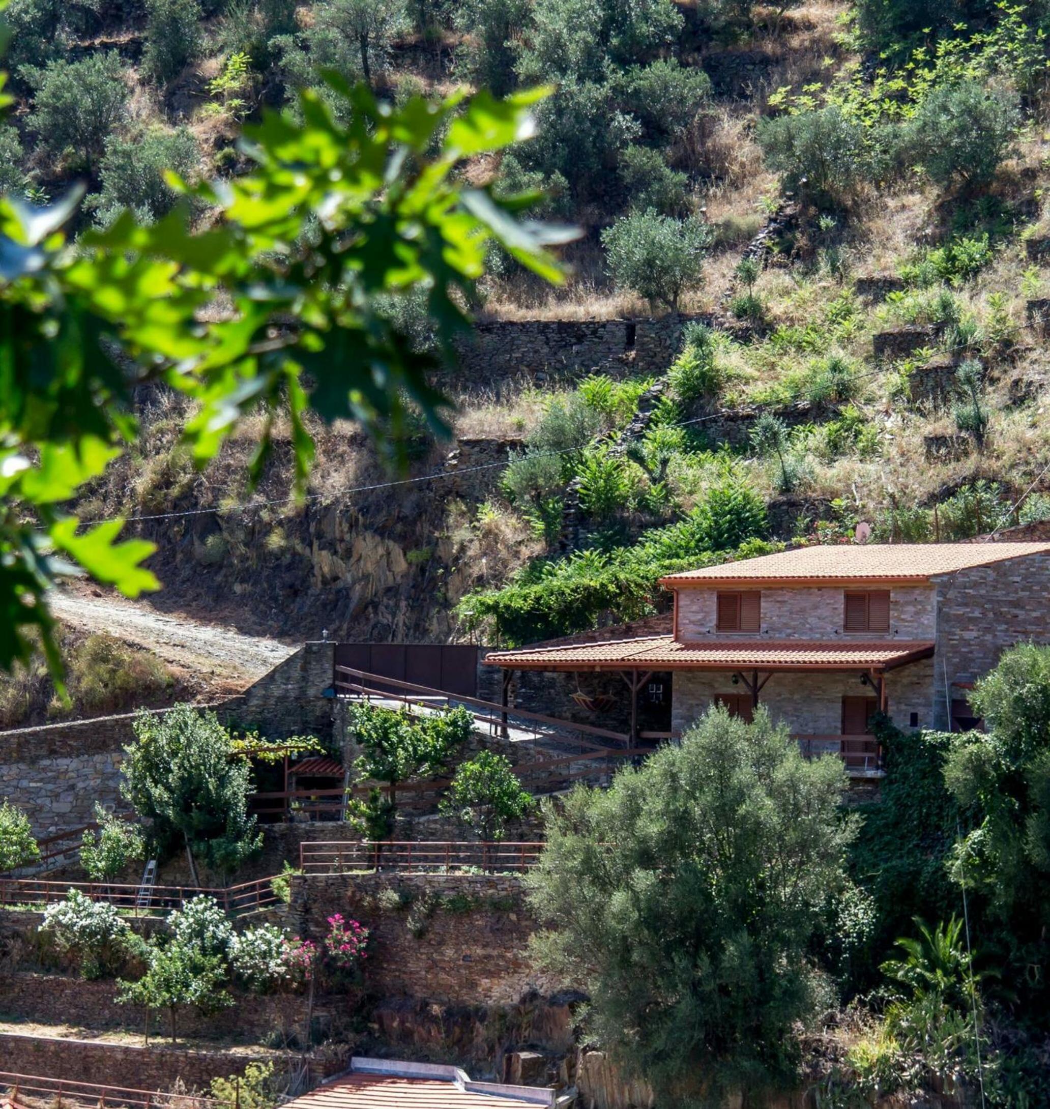 Casa da Encosta Douro Valley view 2