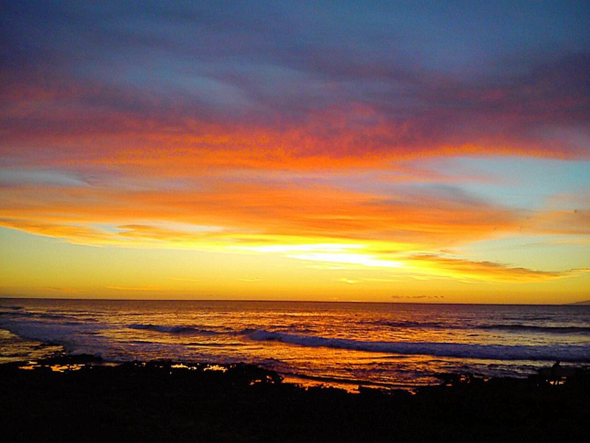 By Jonni Res. Chaparral photo 5
