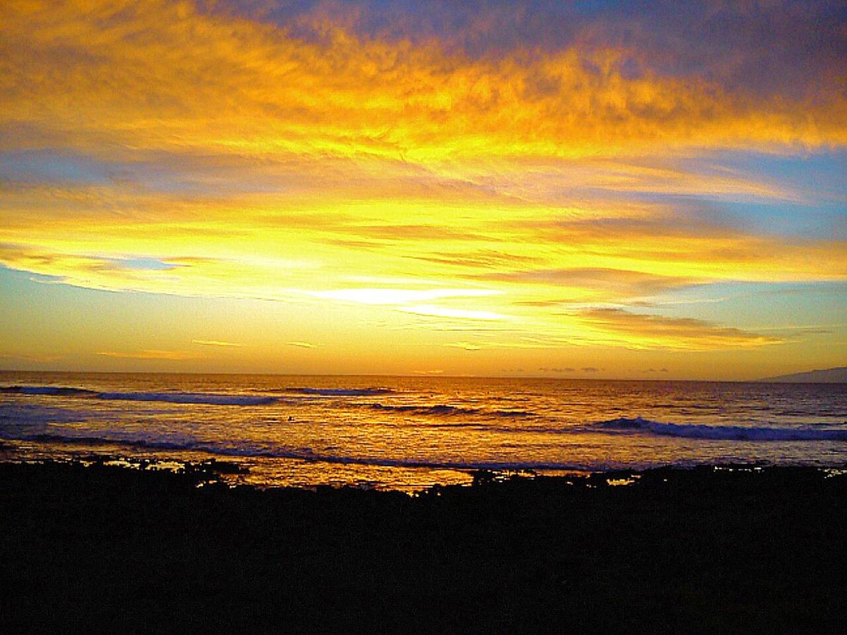 By Jonni Res. Chaparral photo 4