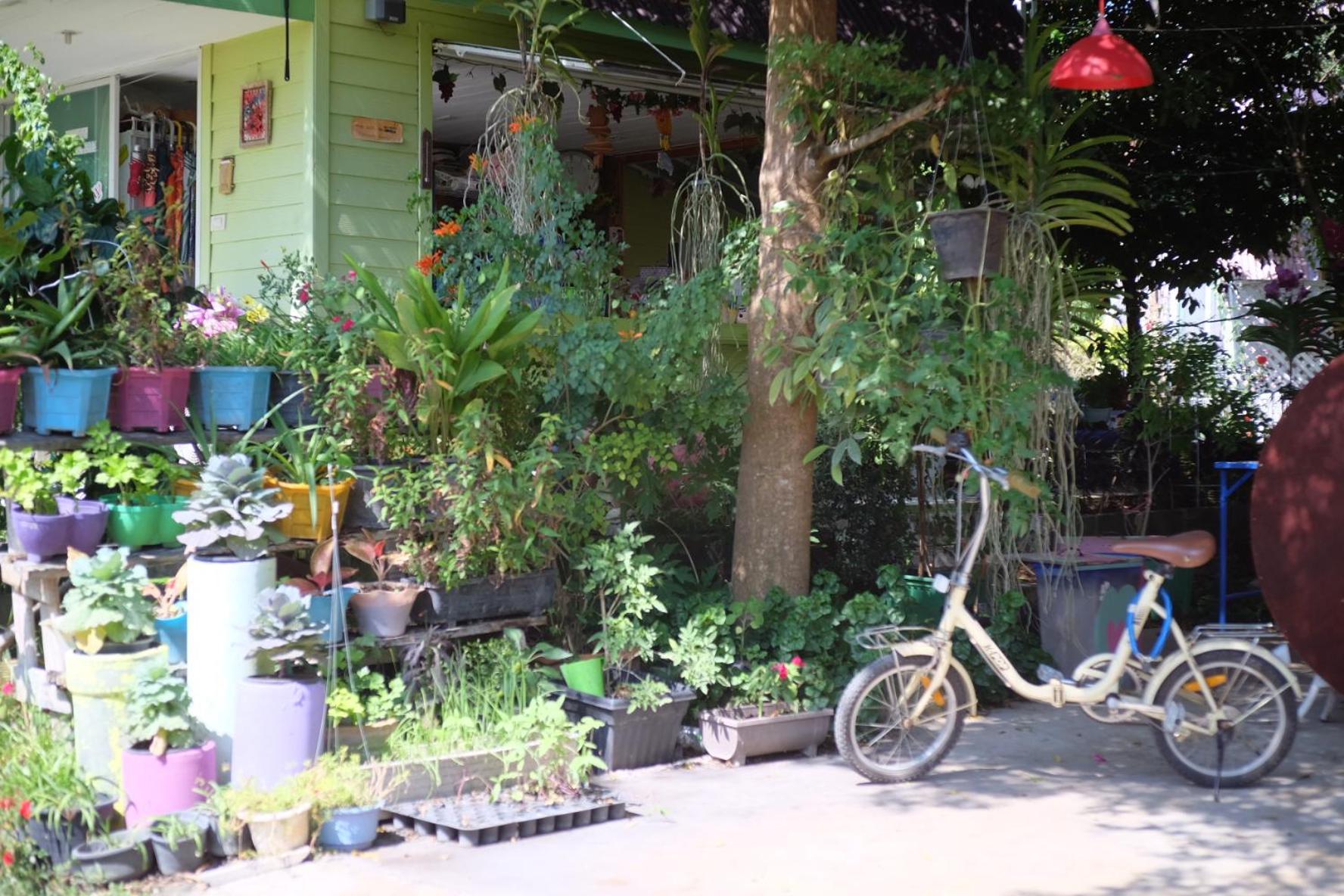 A Houses Homestay