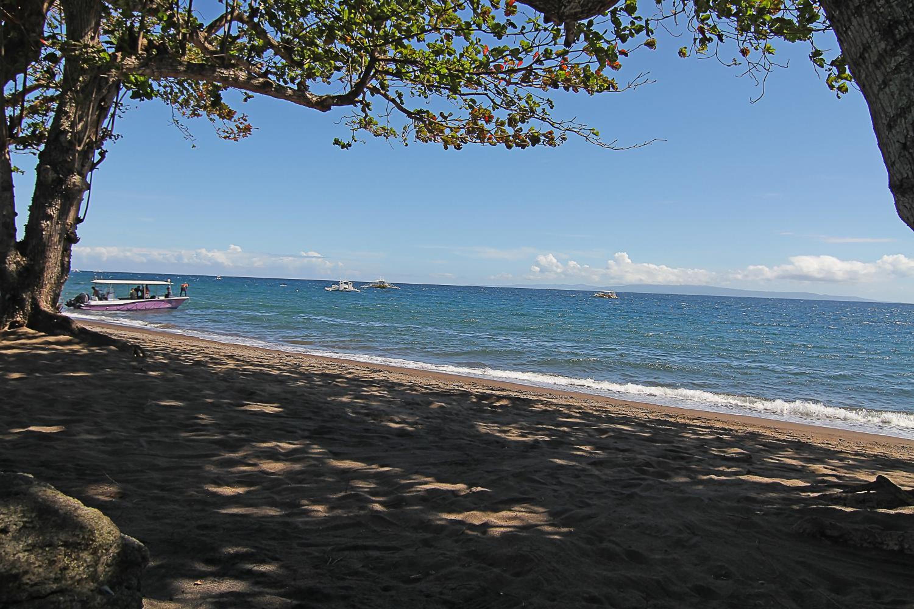 Vida Homes Condo Resort