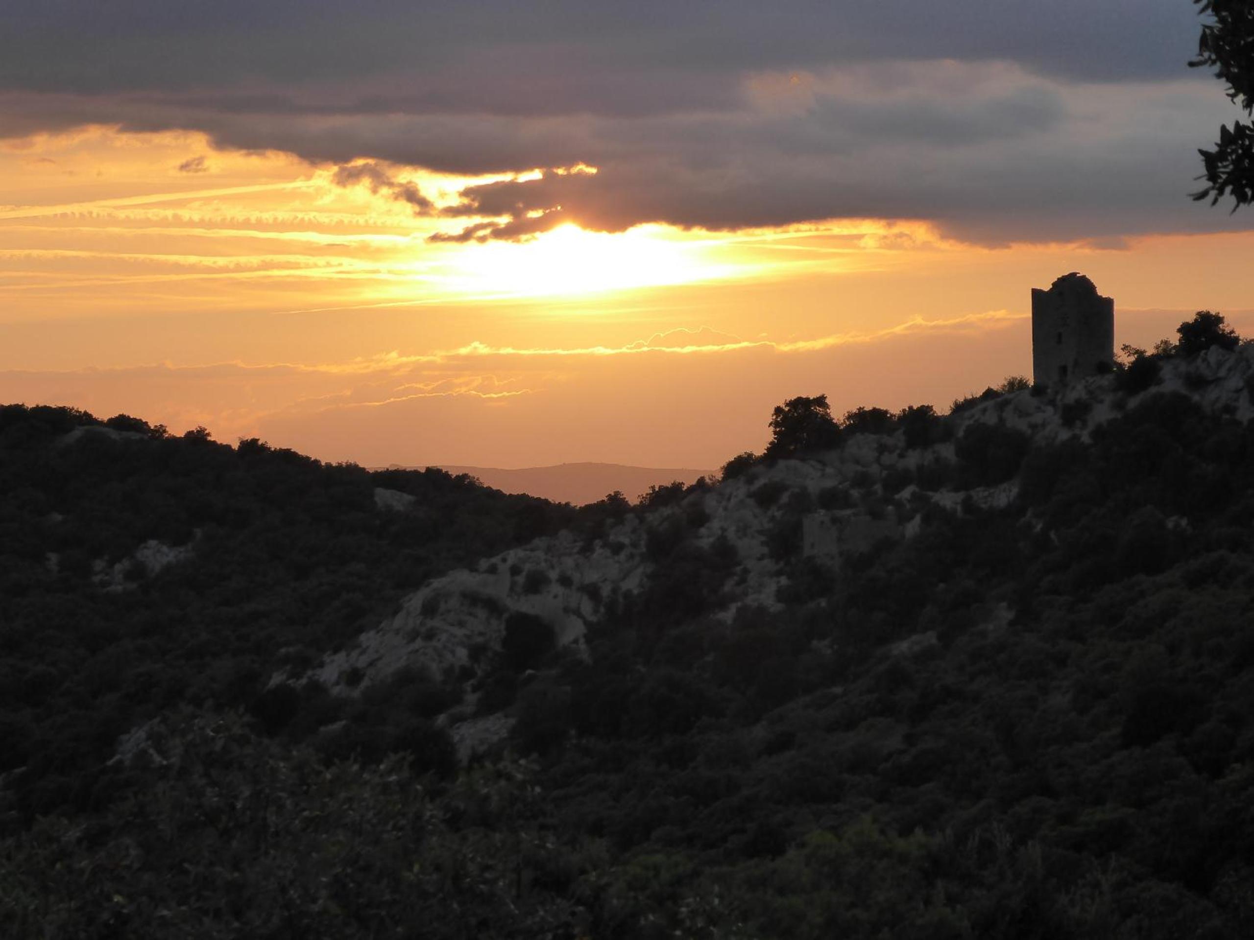Le Castellas du Pic St Loup