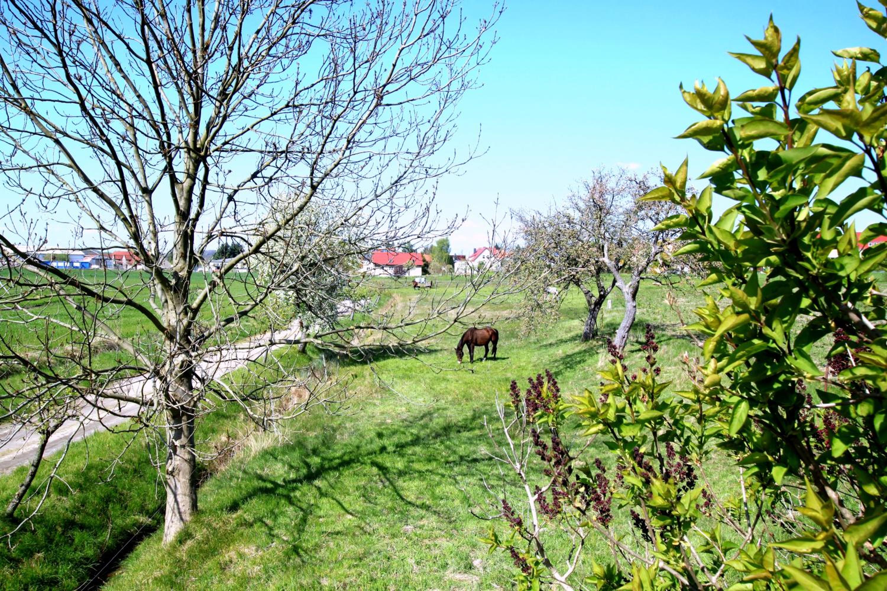 Ferienhaus Vera