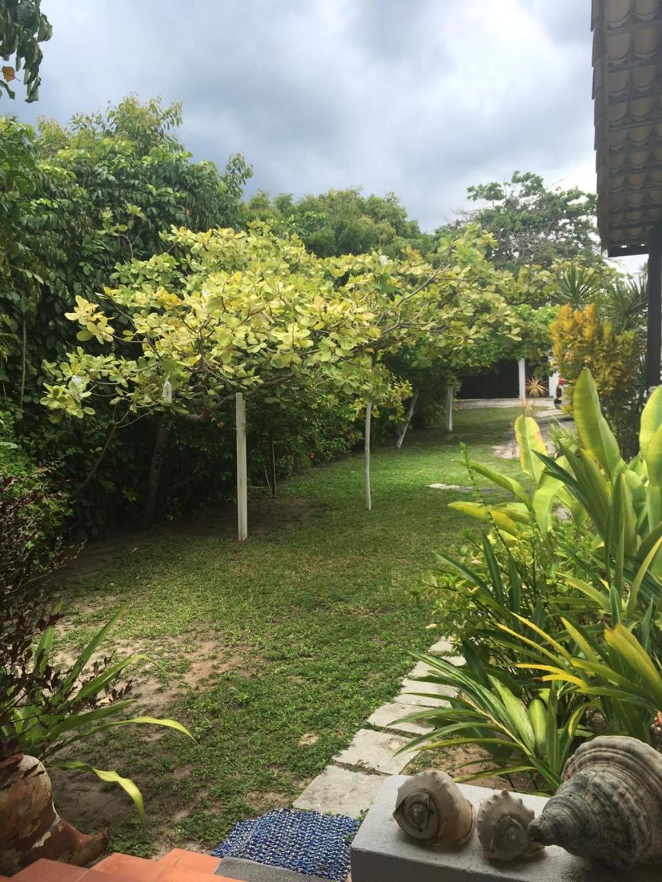 Photo 22