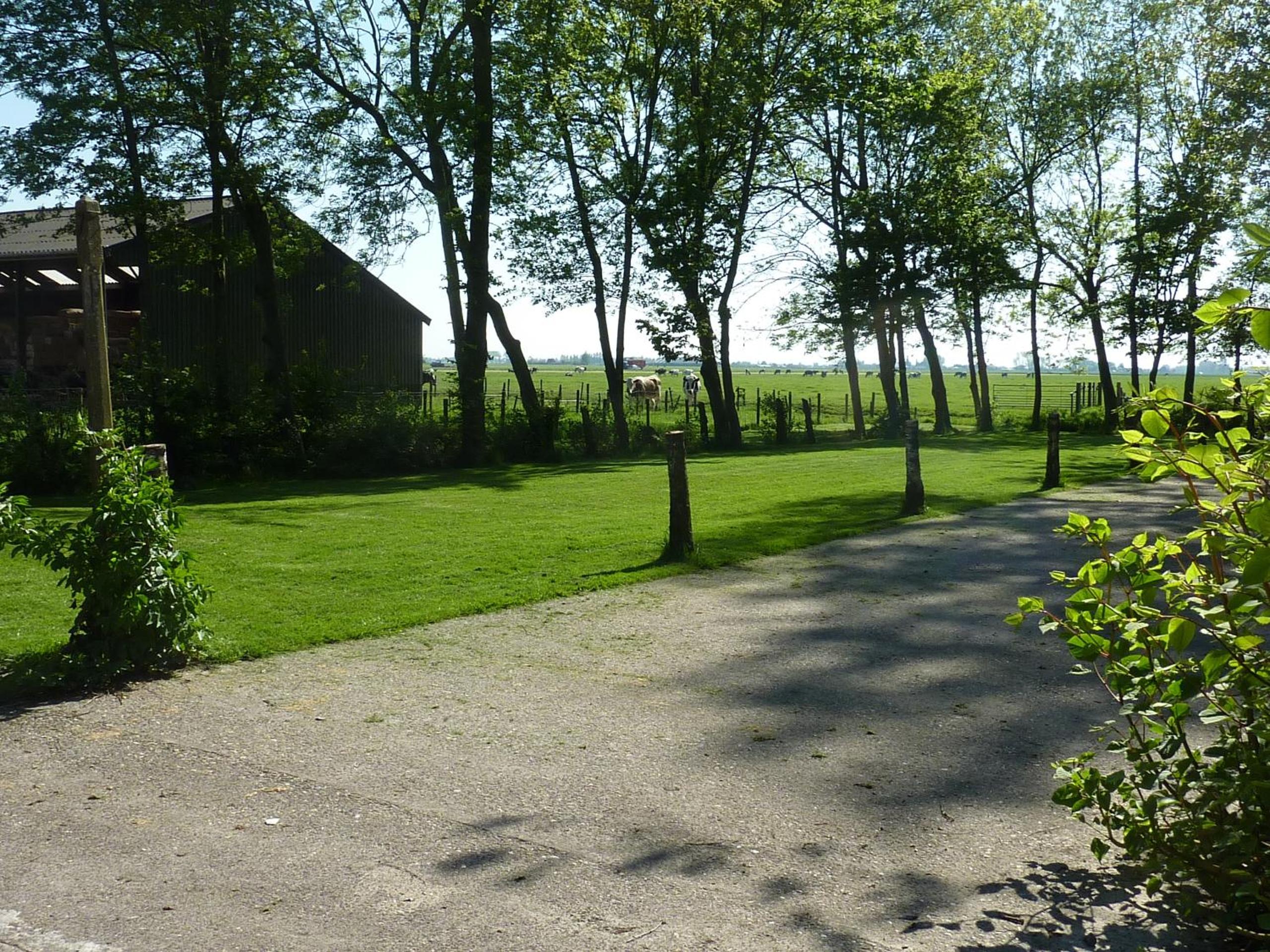 Photo 52