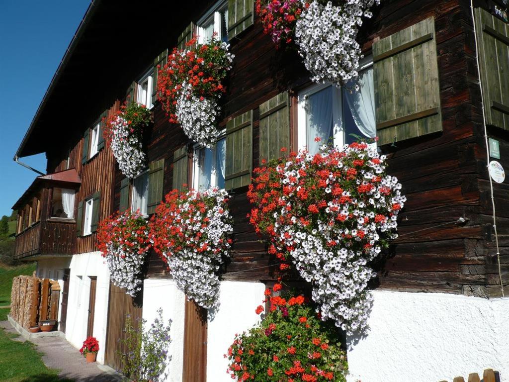 Gästehaus Schaub