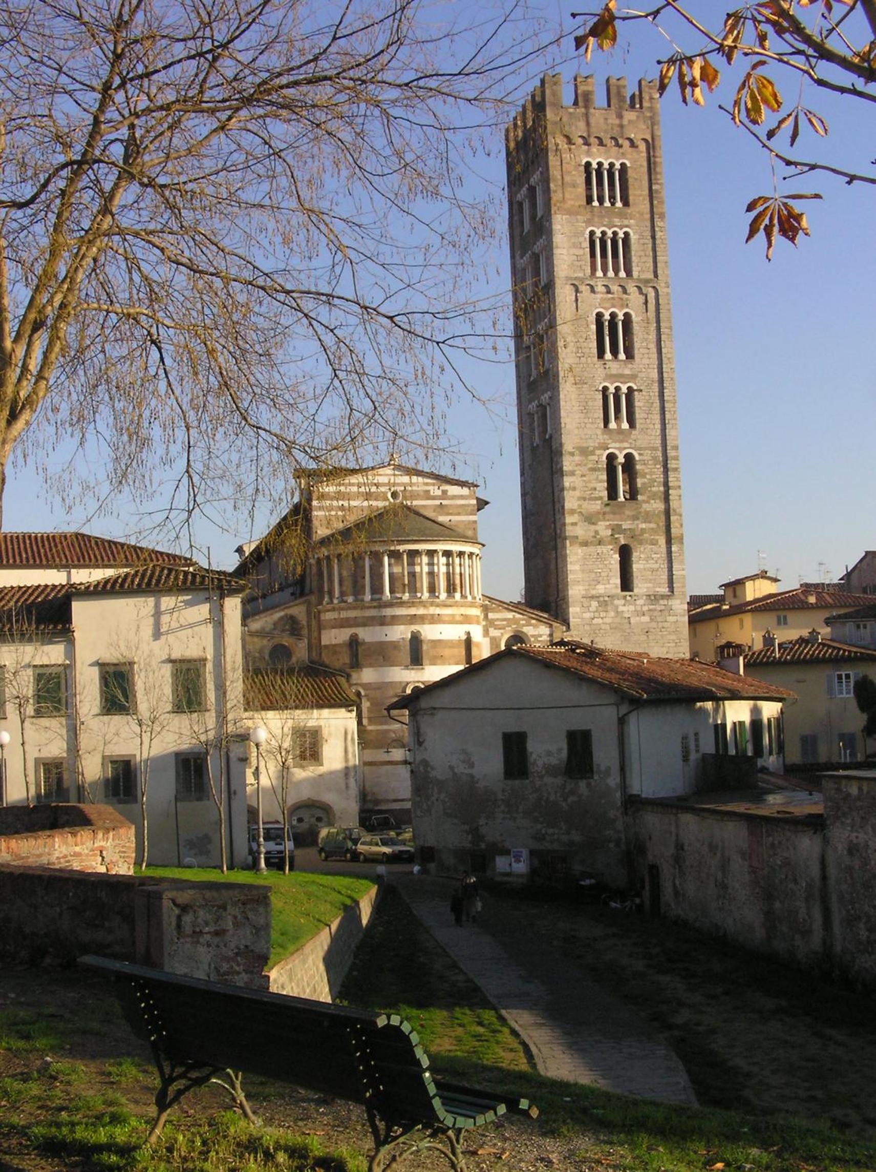 Photo 41