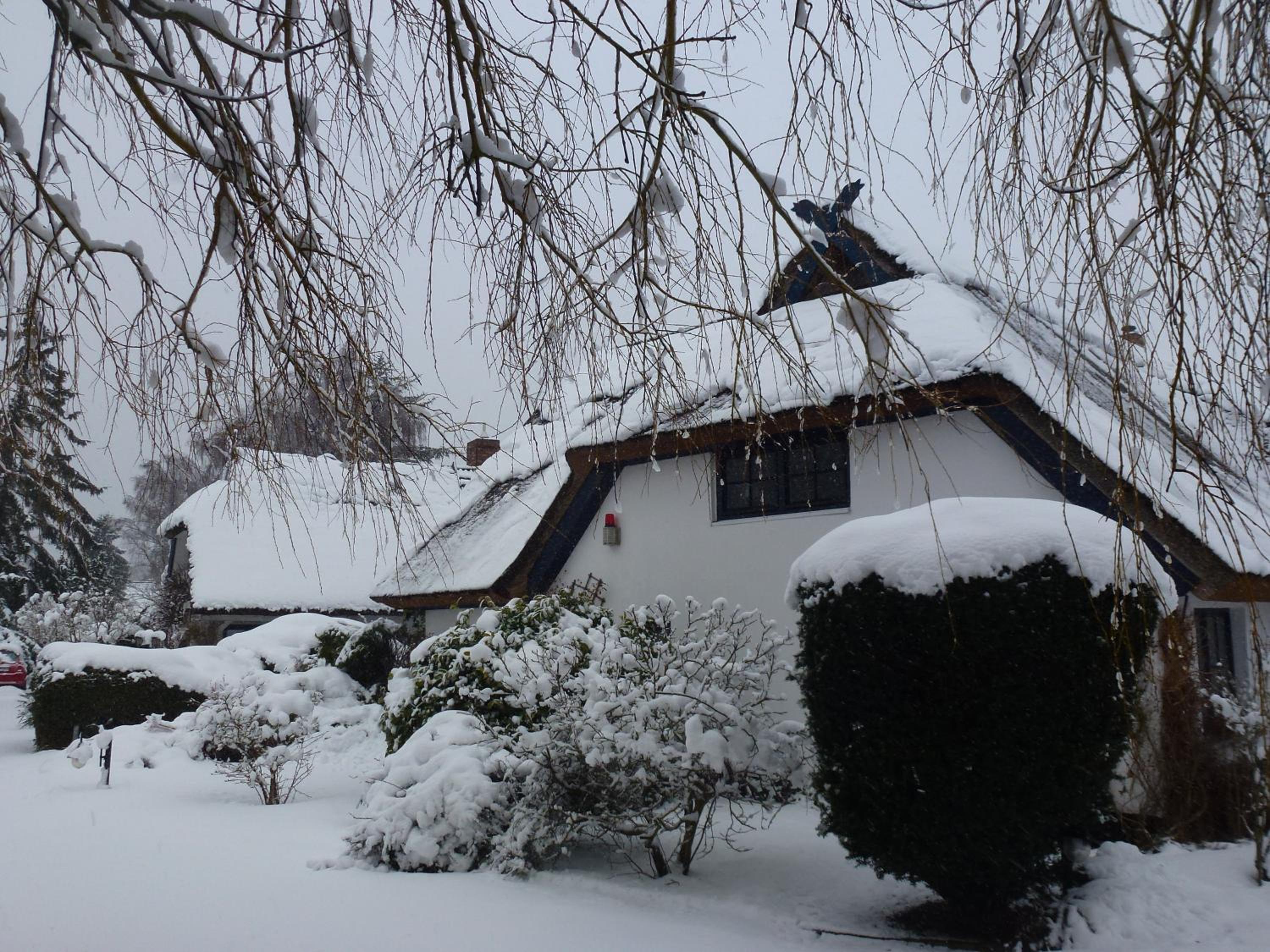 Landhaus Darss view 3