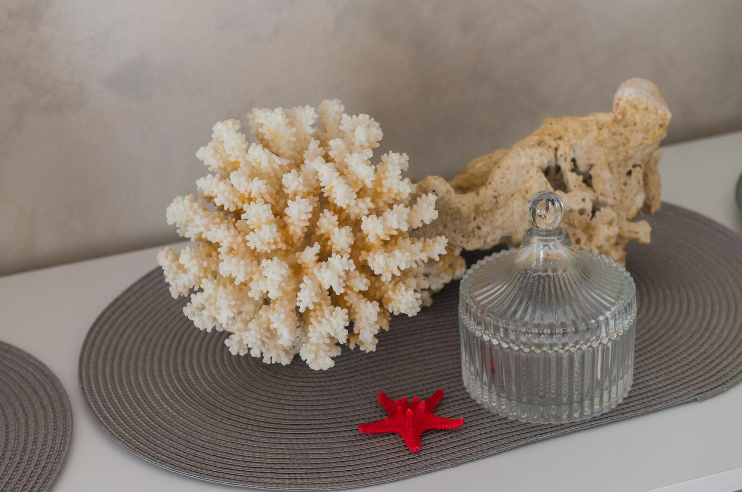 Apartment Coral