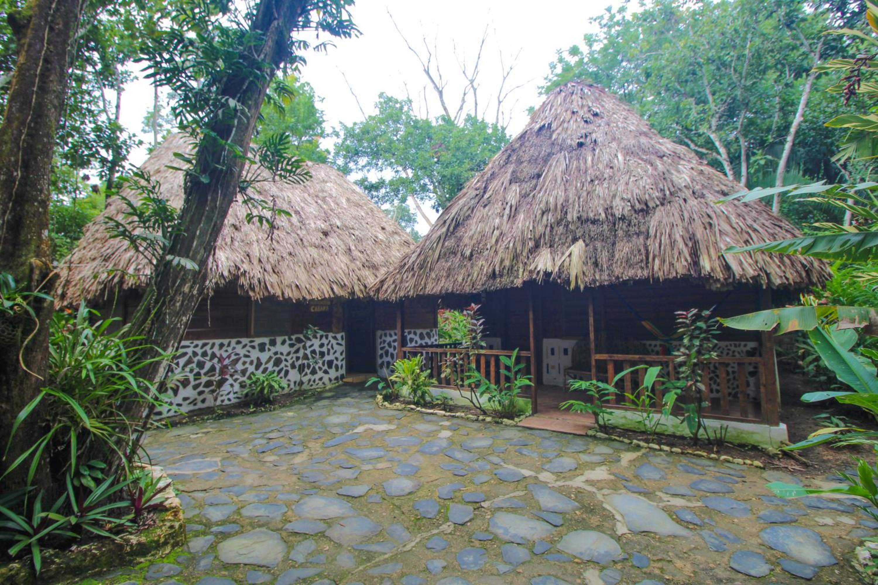 Cohune Palms River Cabanas