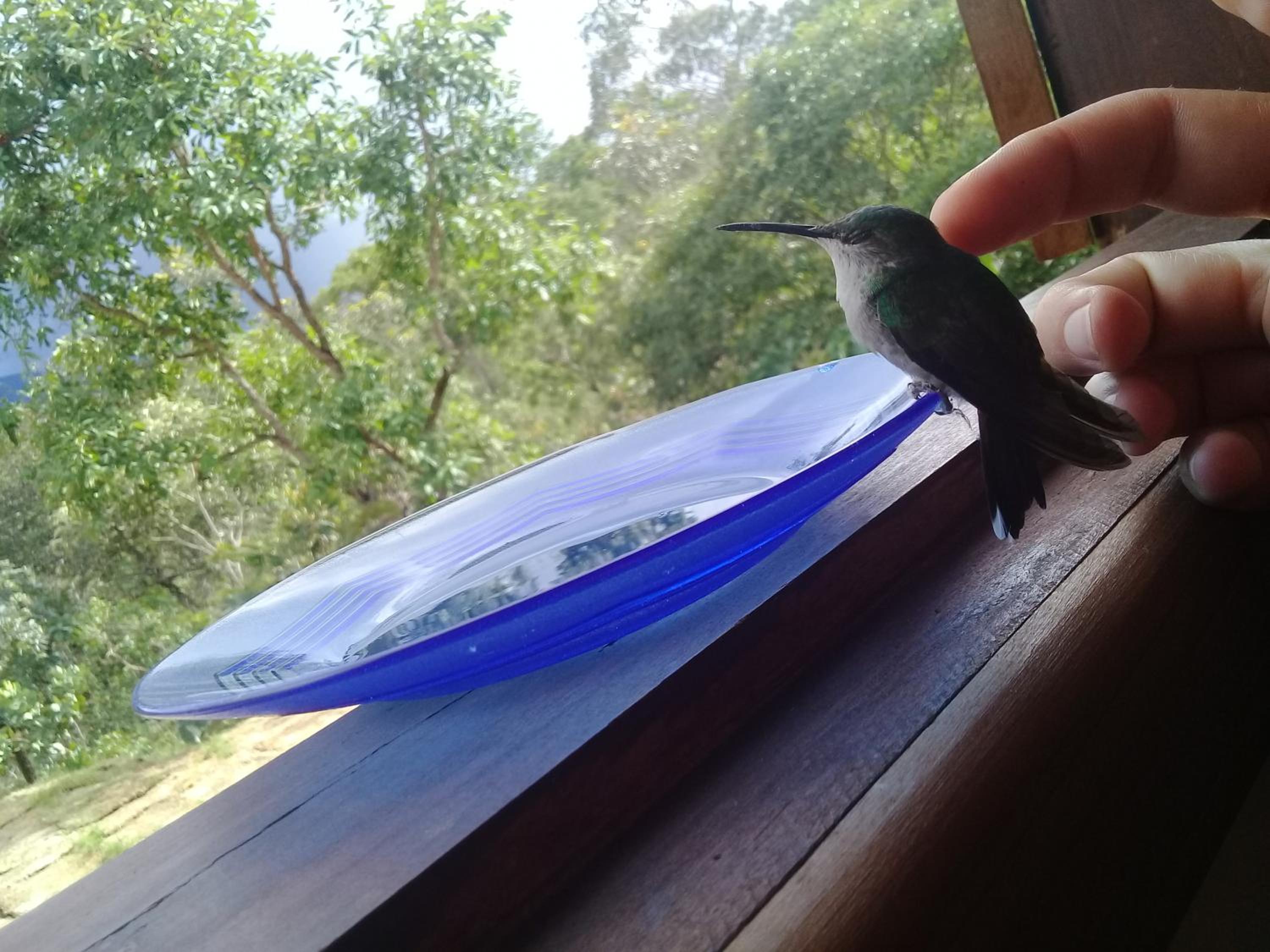 Chácara Recanto da Paz