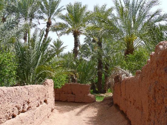 kasbah timidarte view 2