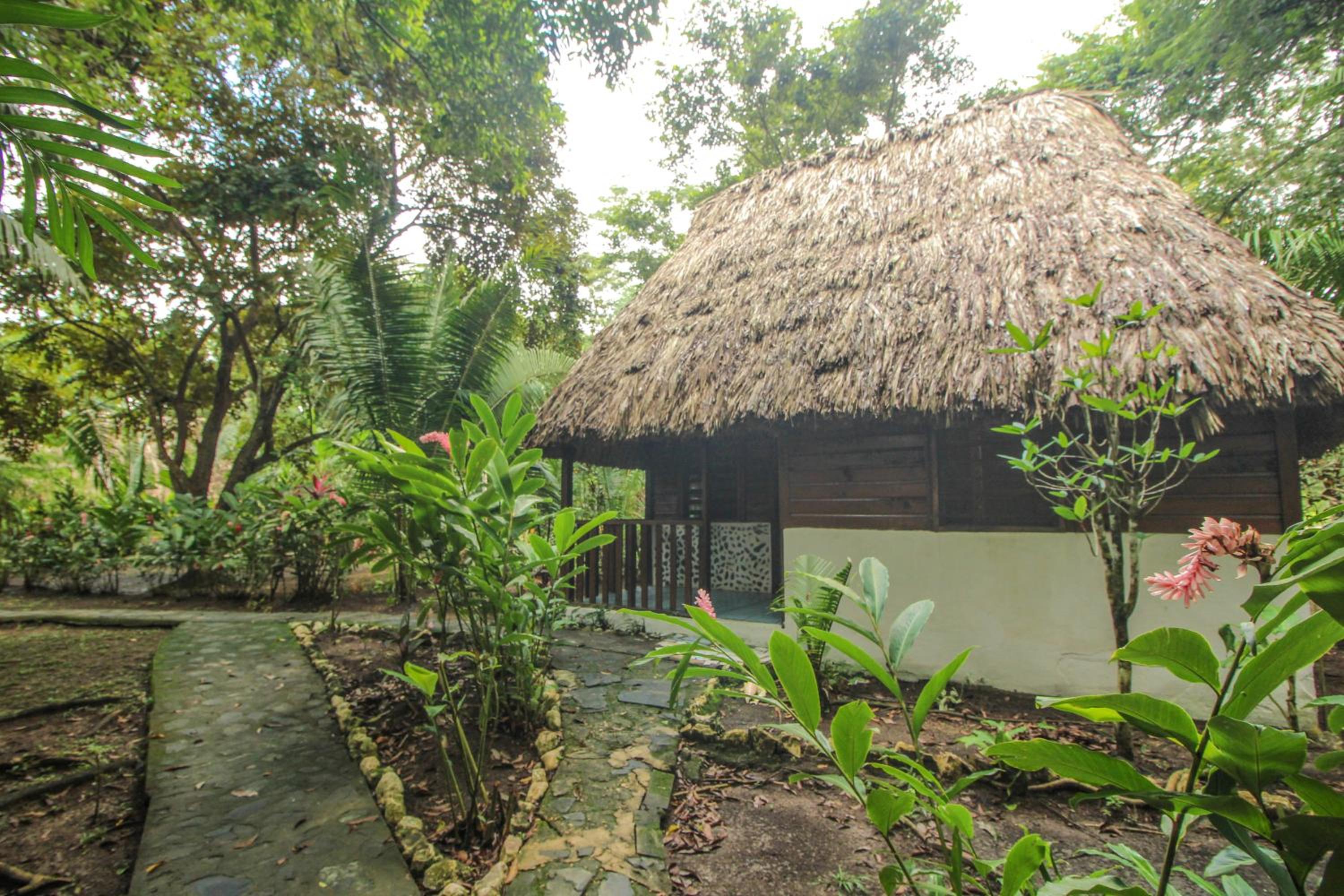 Cohune Palms River Cabanas
