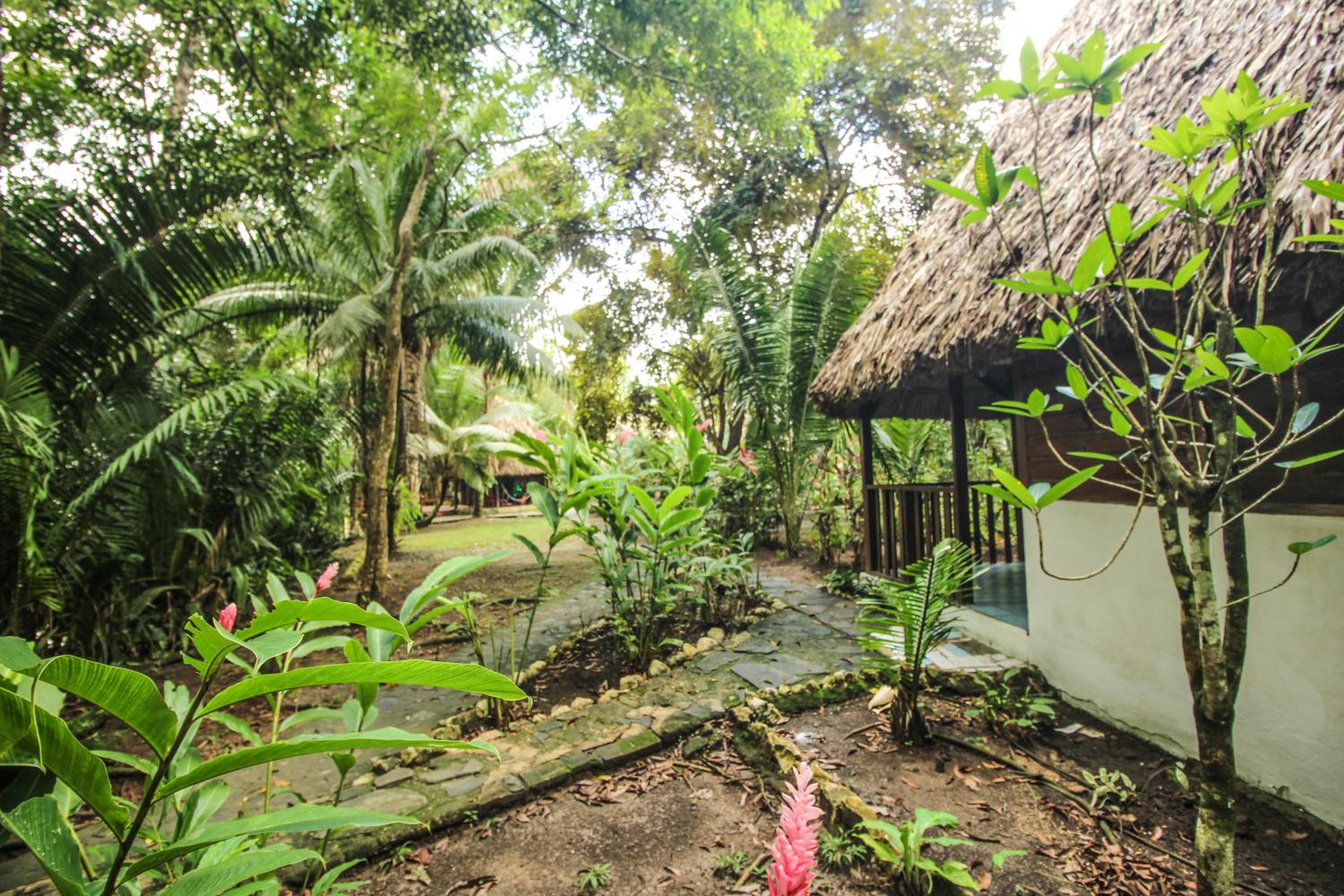 Cohune Palms River Cabanas