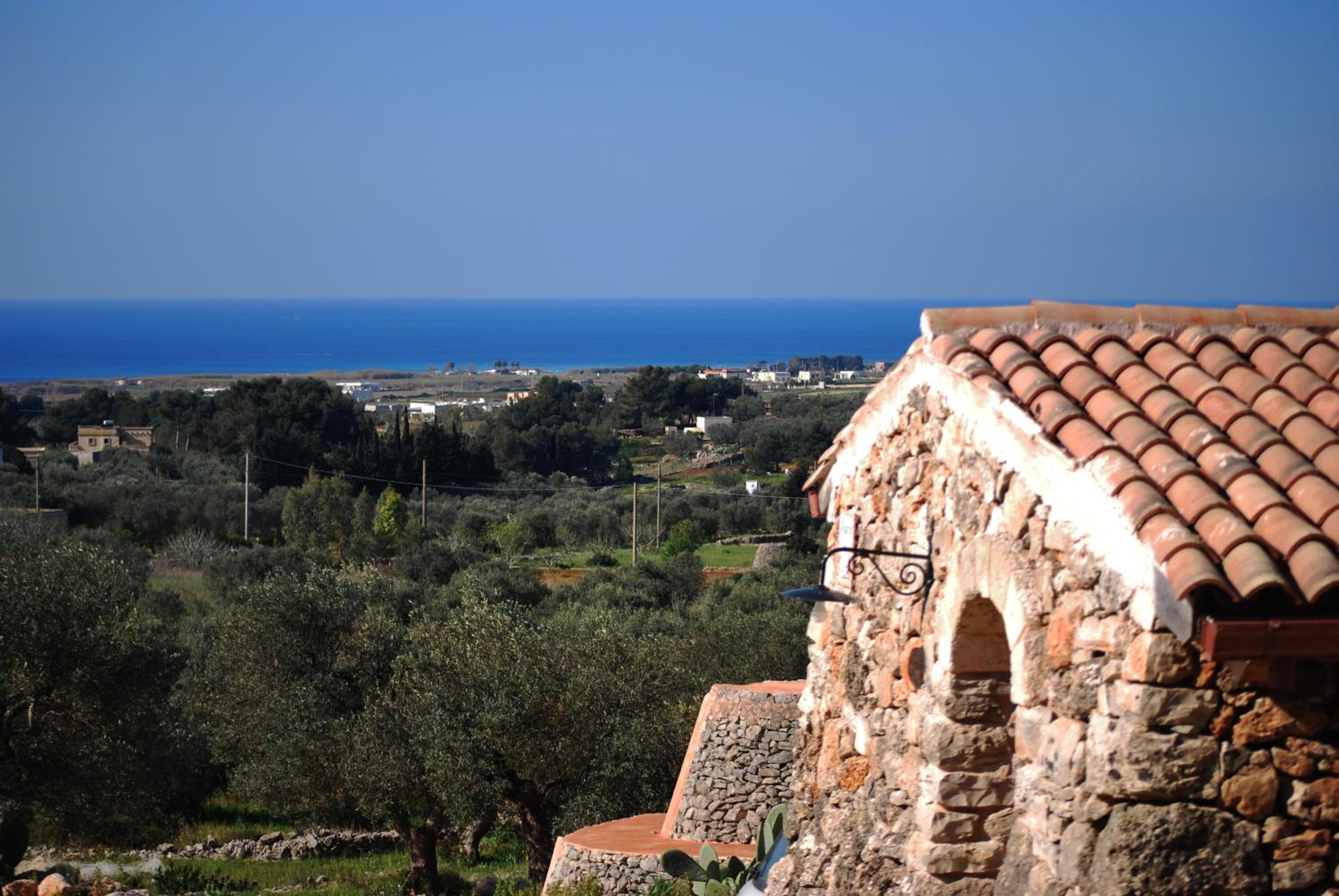 Romantica Liama Piccola photo 2