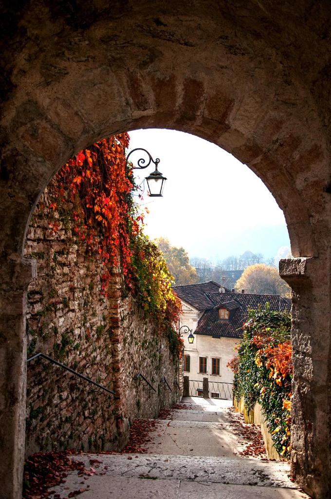 Mini Viale Farra view 3
