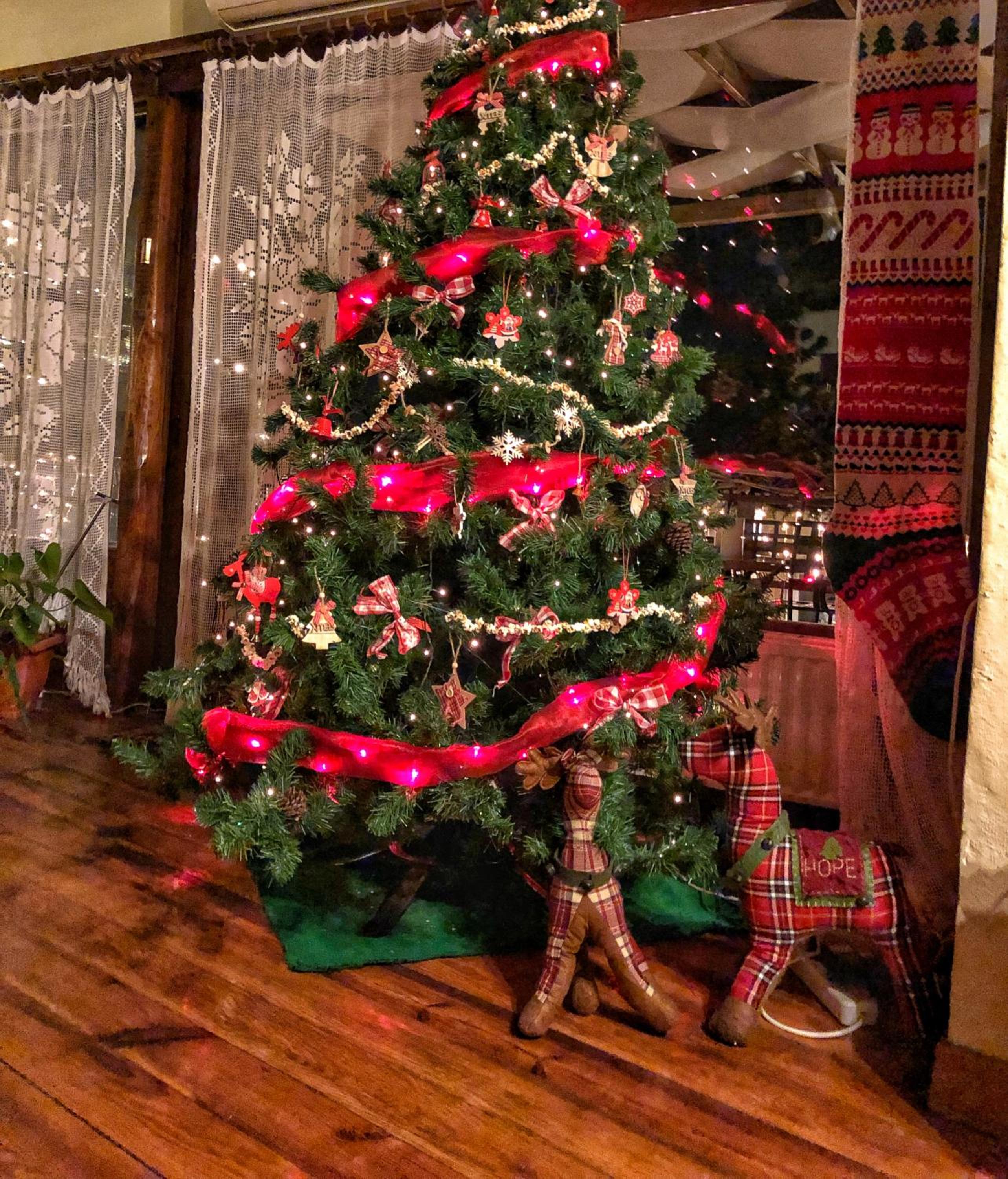 Photo 32