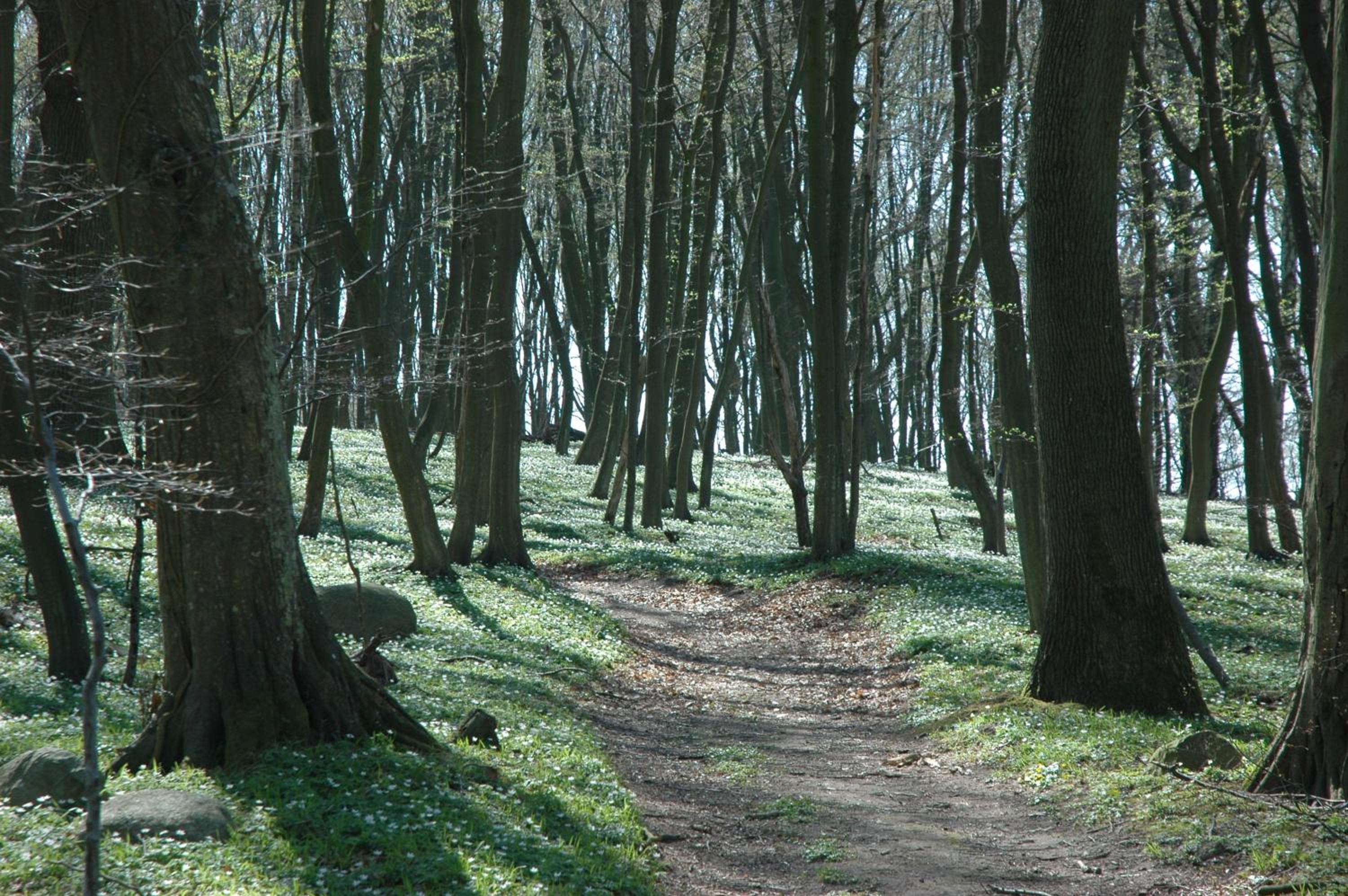 Hof Vilmnitz Haus A en Putbus