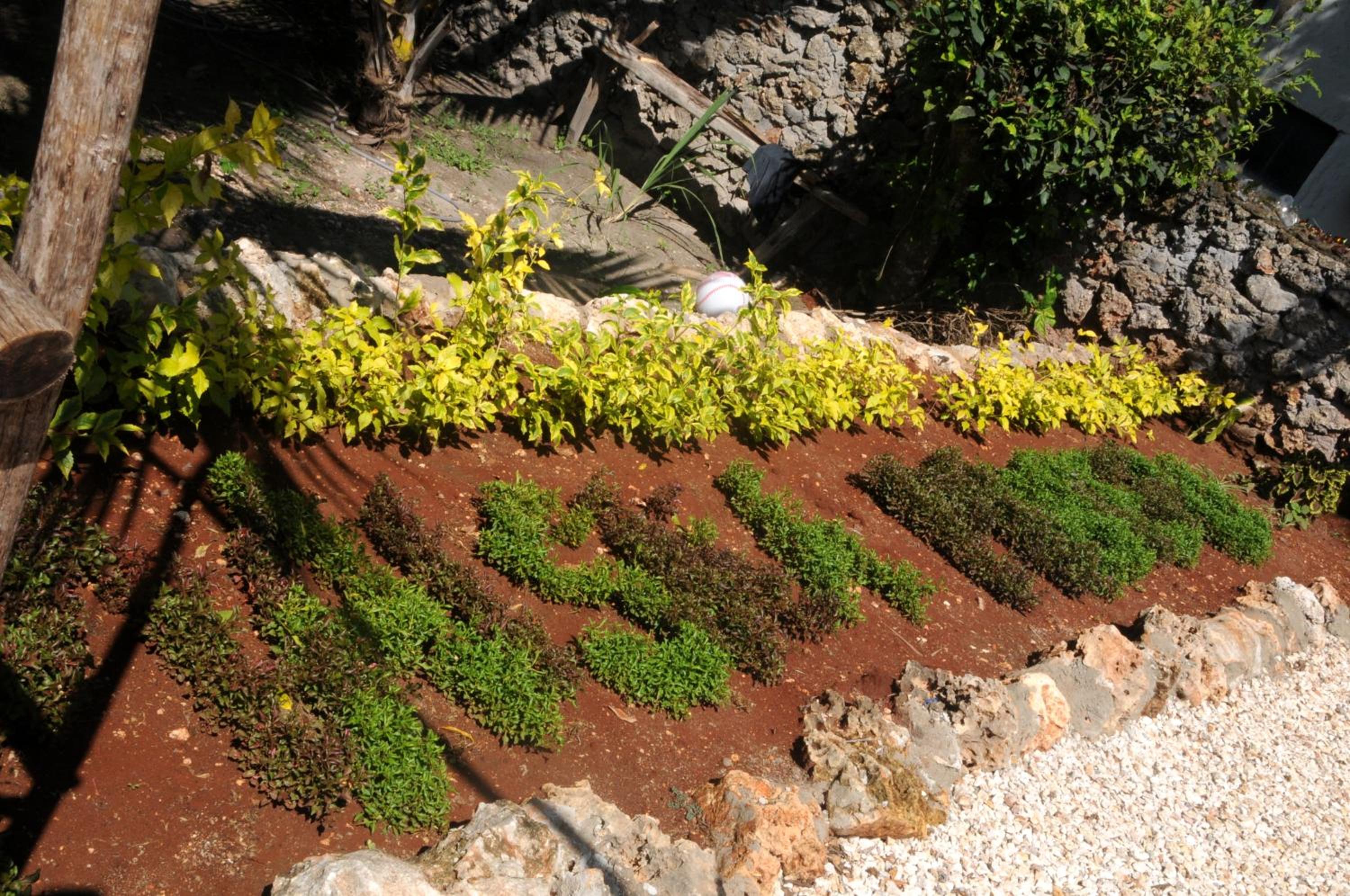 Kiwengwa Vacations - Maisha Marefu Apartments - Property Image 78
