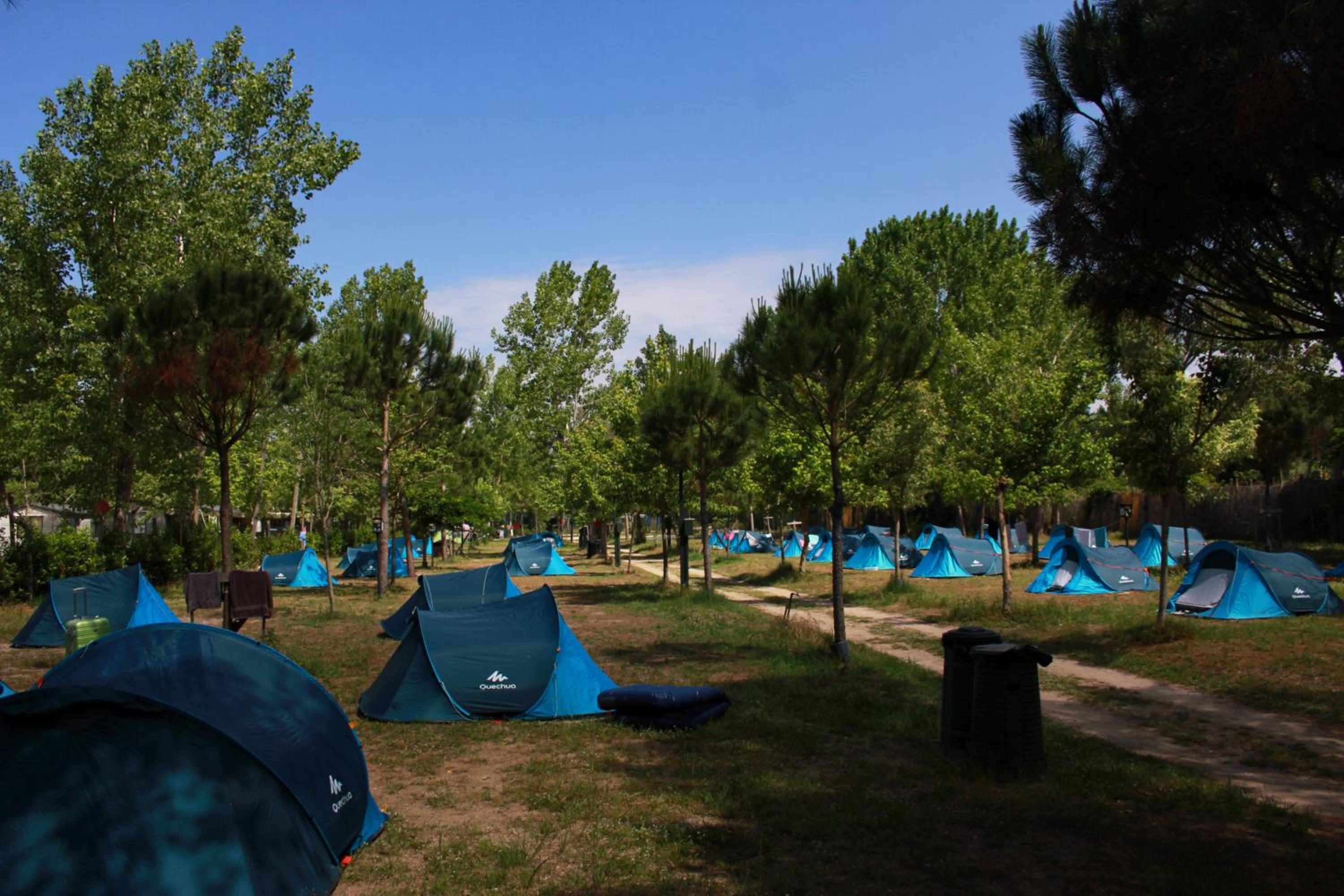 Campeggio Boscoverde, photo 110