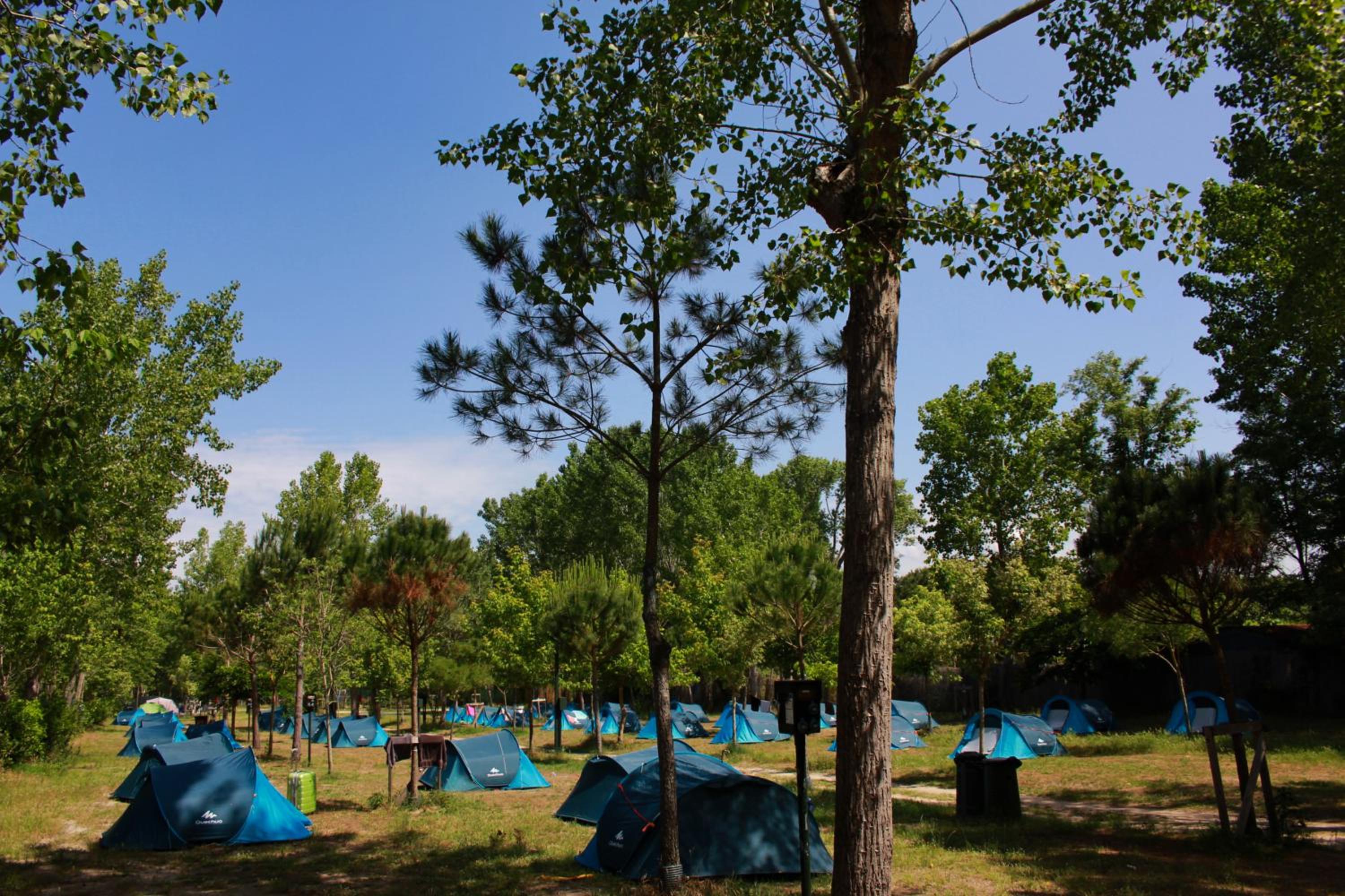 Campeggio Boscoverde, photo 36