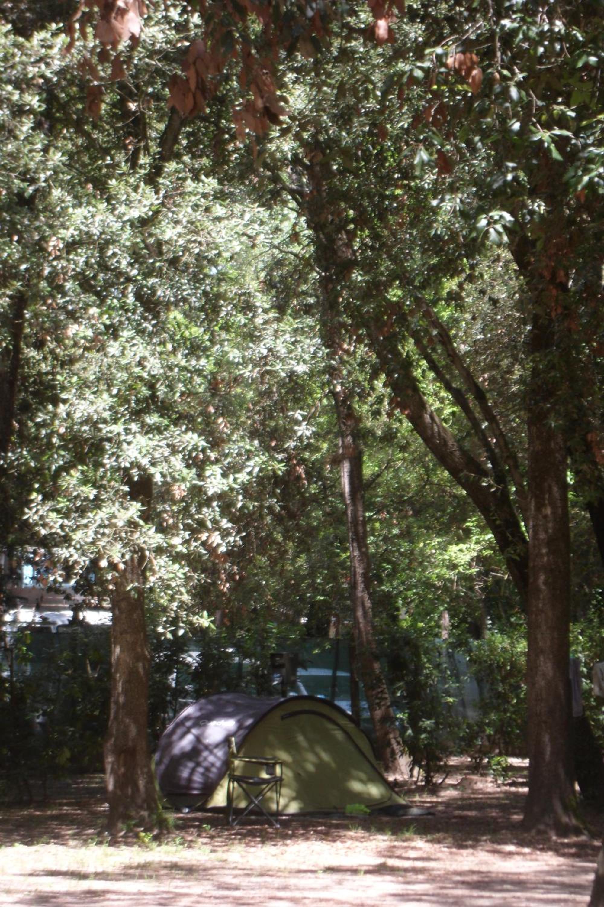 Campeggio Boscoverde, photo 15