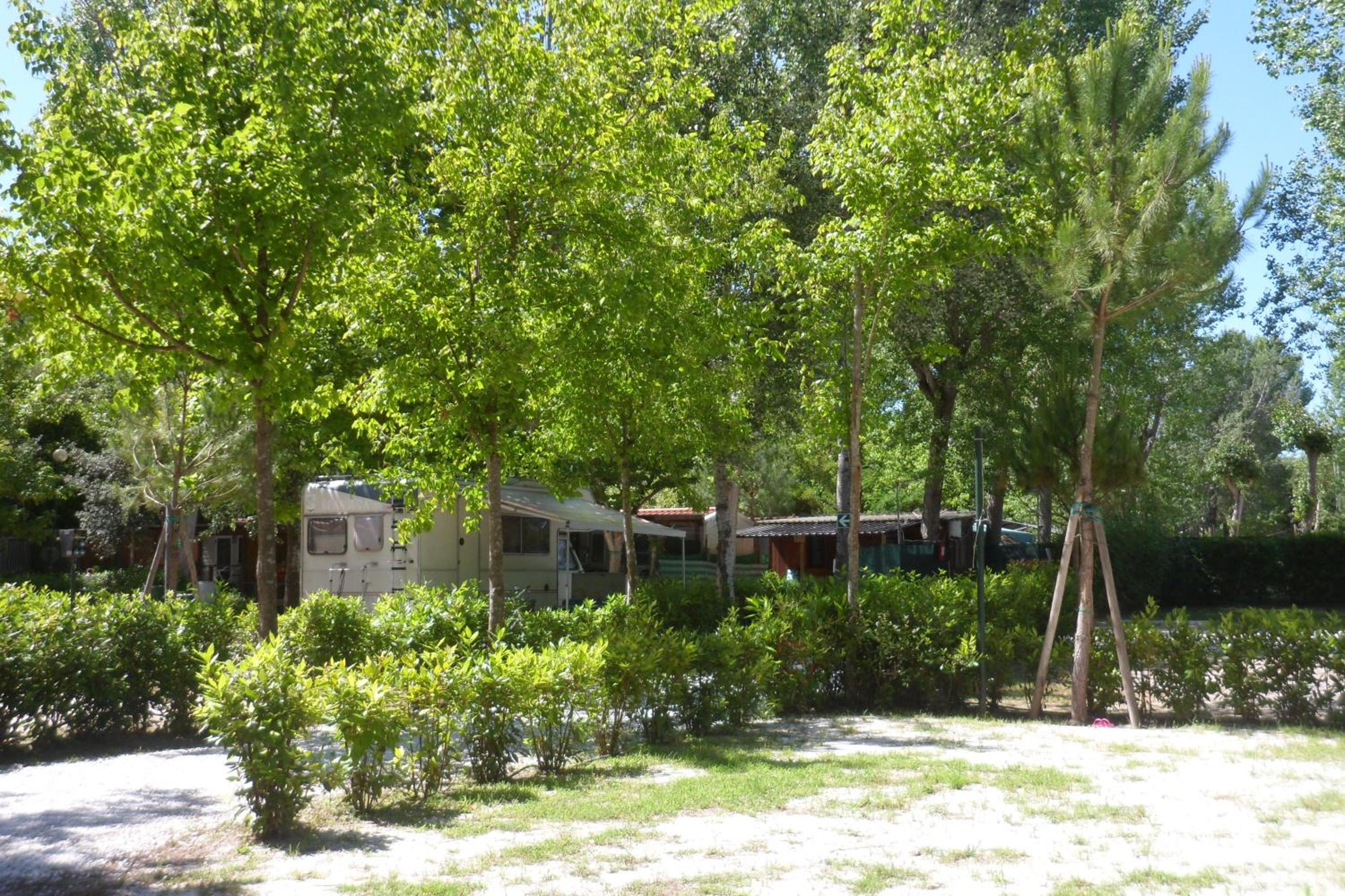 Campeggio Boscoverde, photo 79