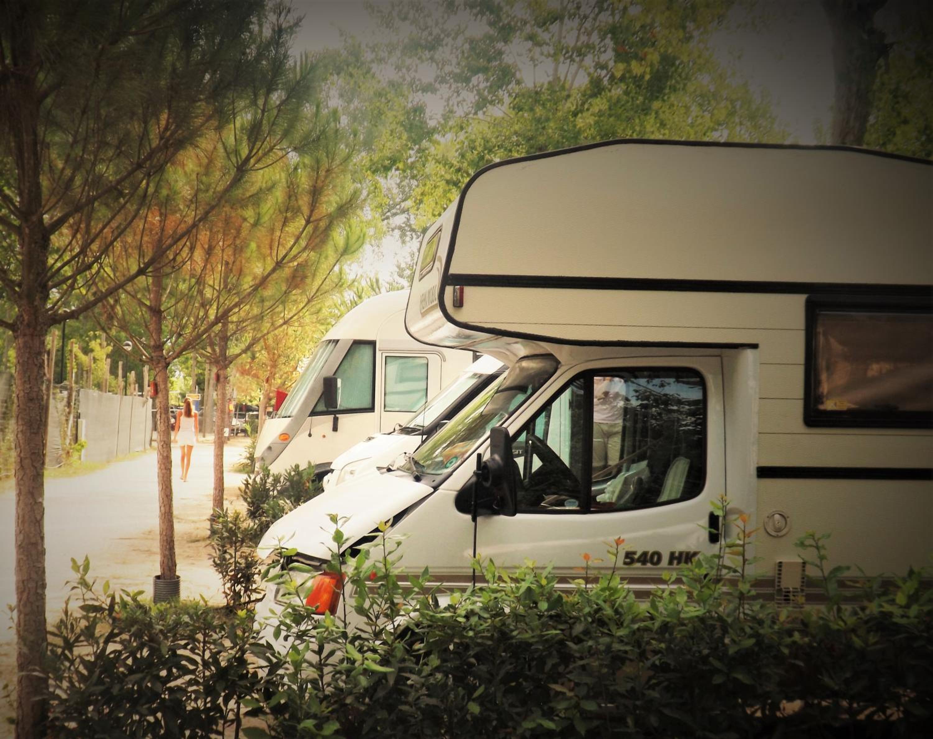 Campeggio Boscoverde, photo 49