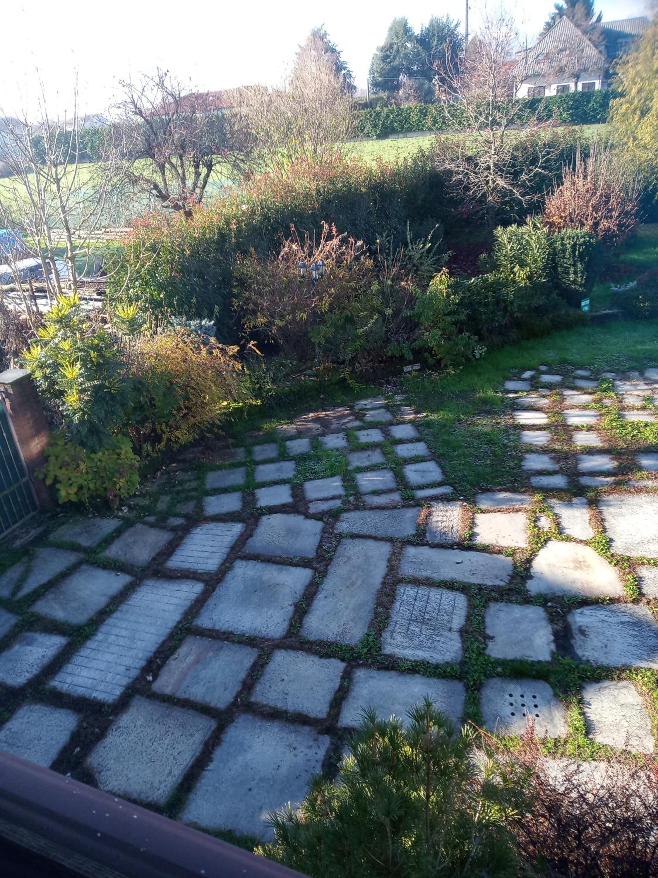 Photo 26