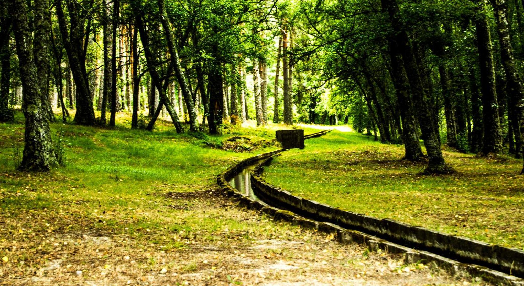 Photo 40