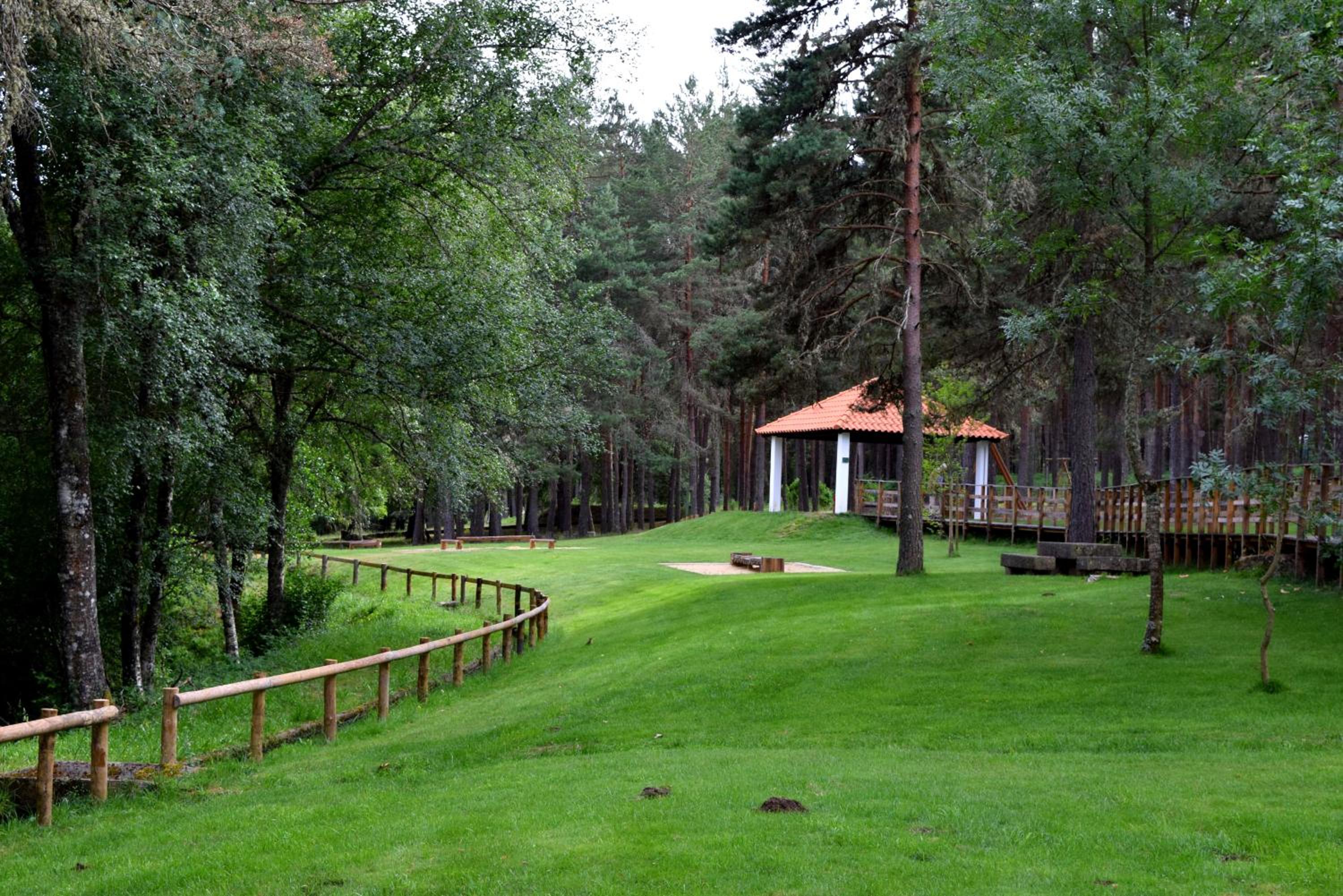 Photo 41