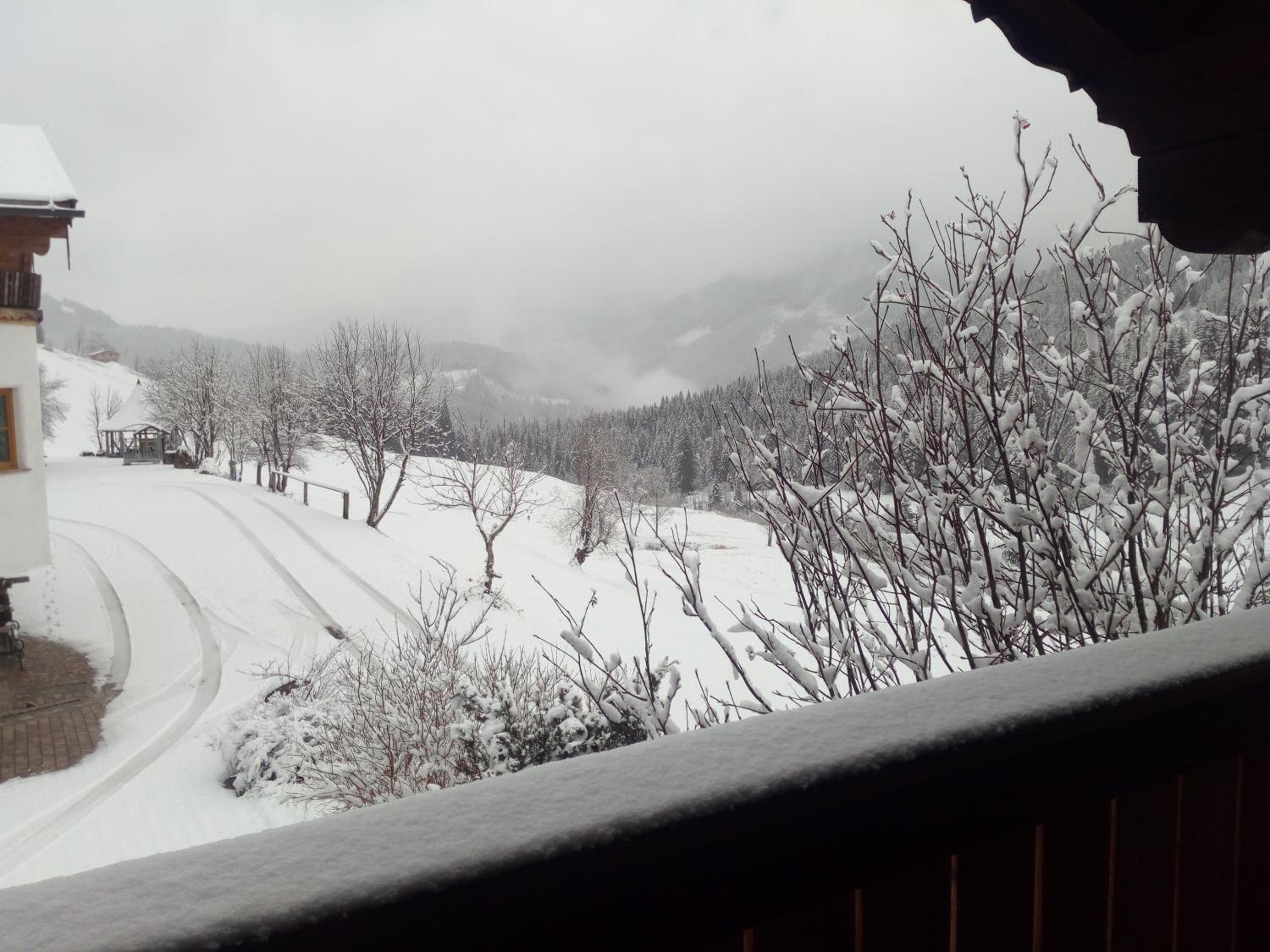 Gsenghof