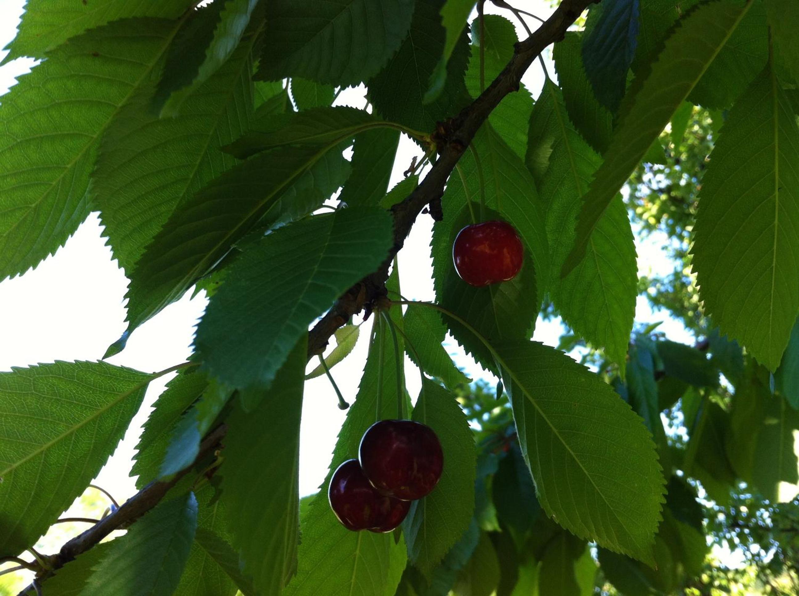Photo 22
