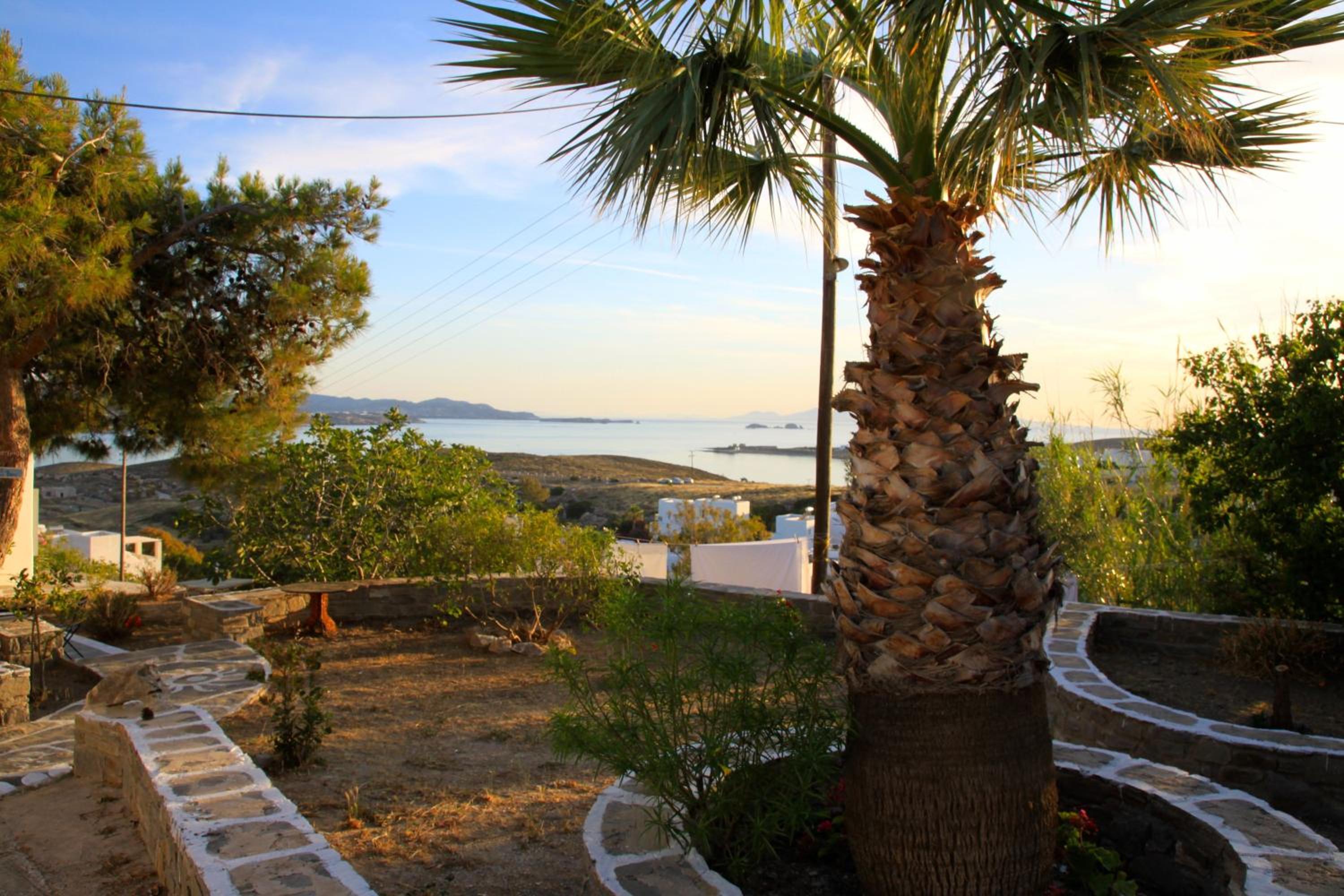 Blue Bay Heliolithos photo 5