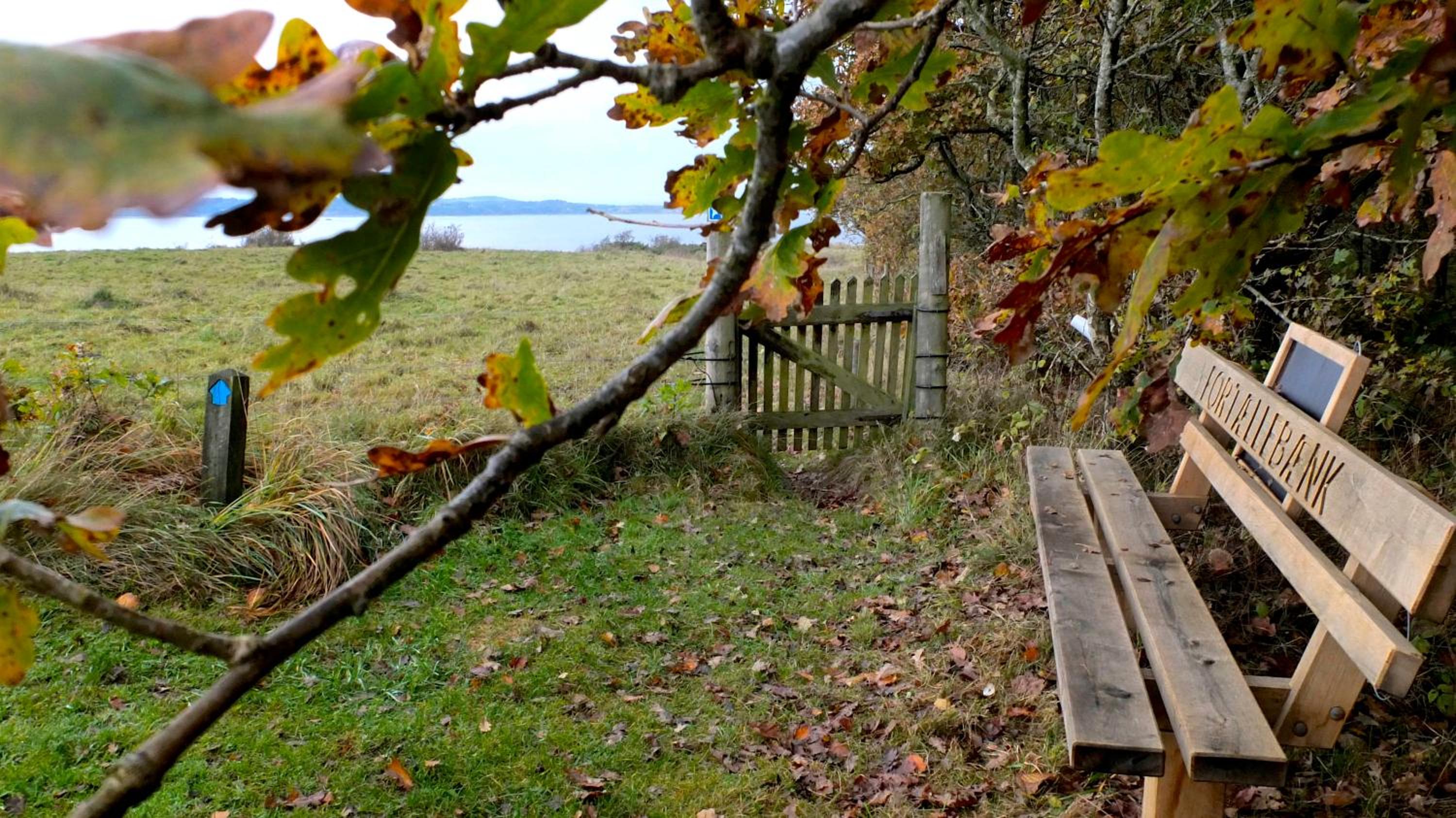 Hvalpsund Færgekro
