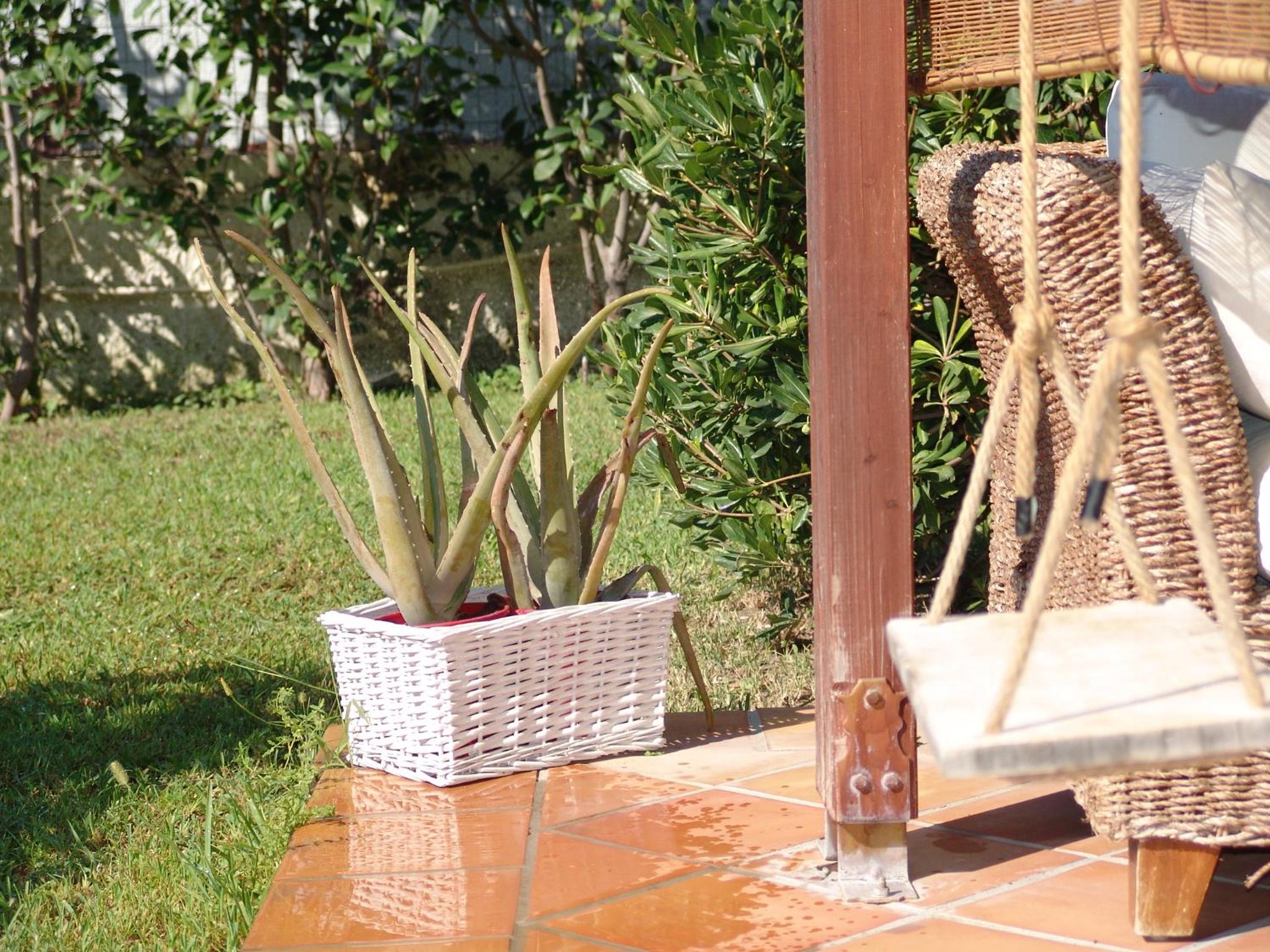 Photo 47