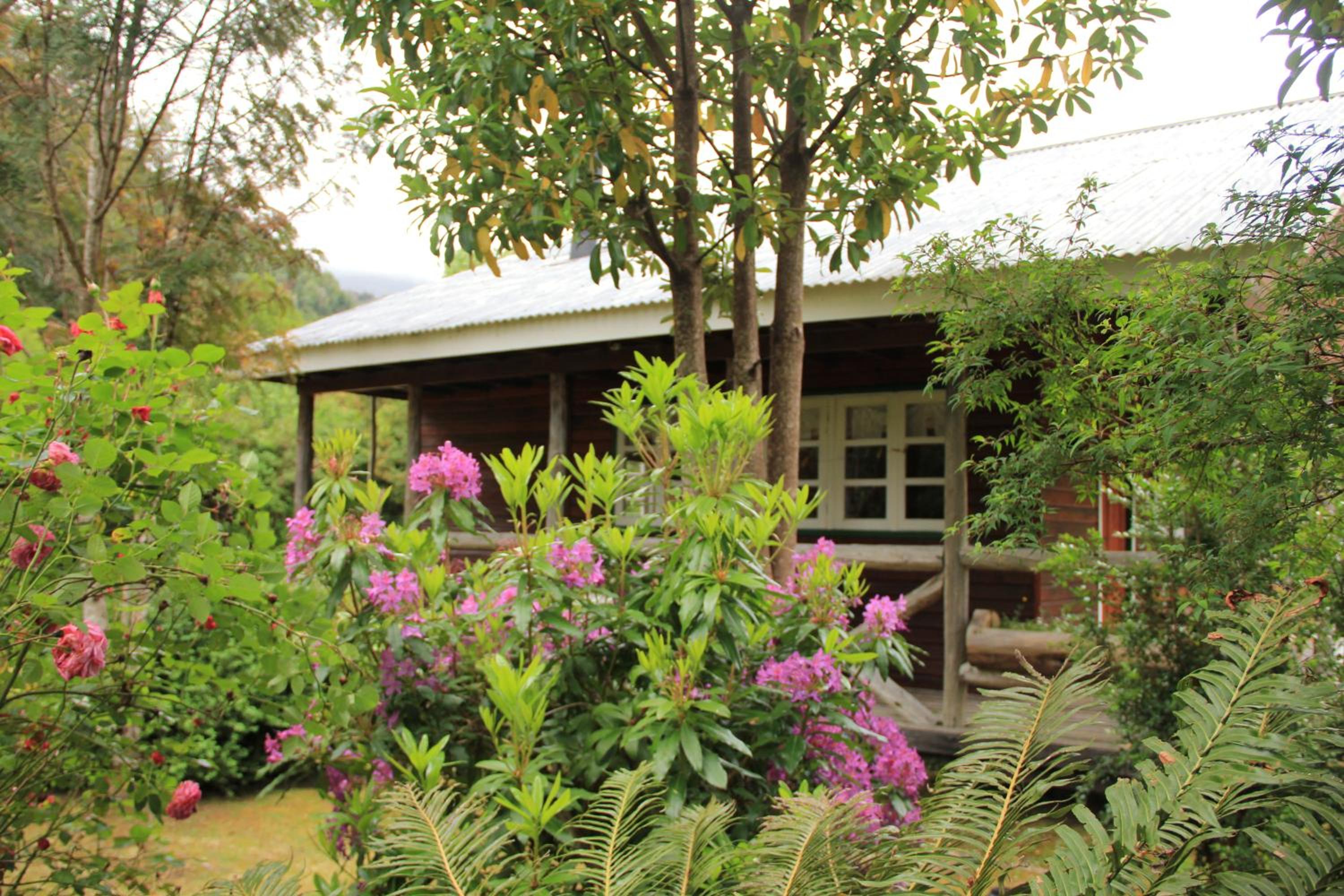 garden