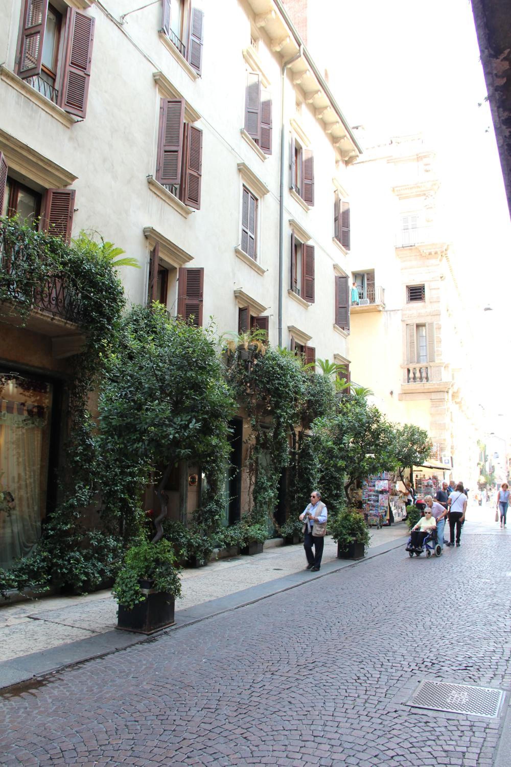Residenza Buglioni Piazza Erbe view 4