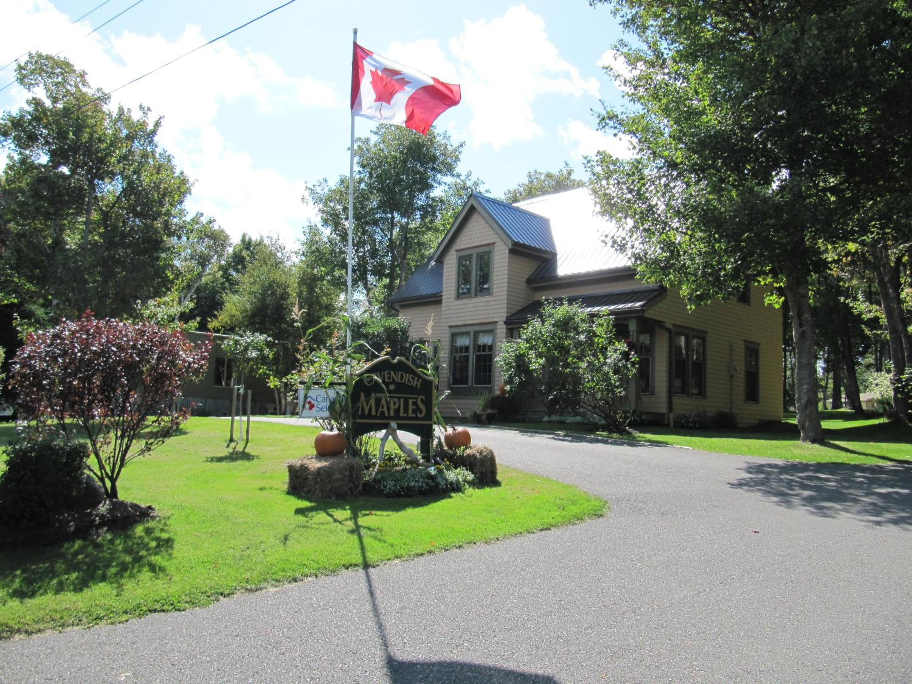 Cavendish Maples Cottages