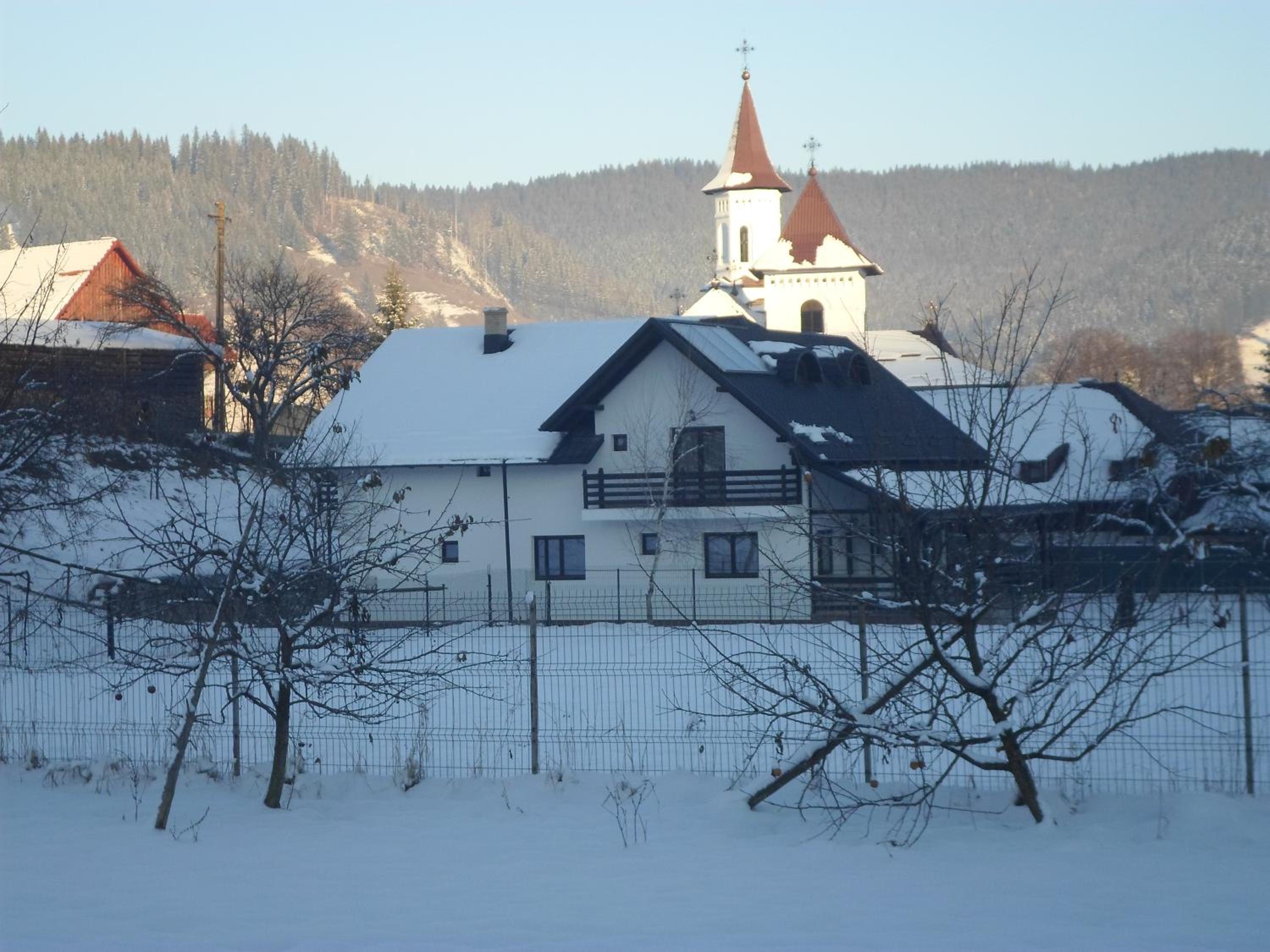 Photo 6