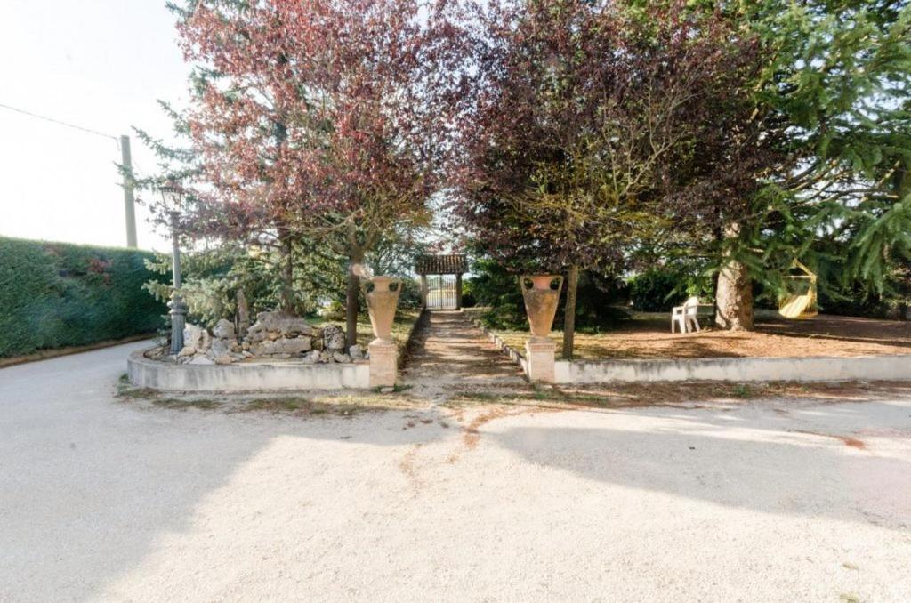 B&B La Volpara, photo 10